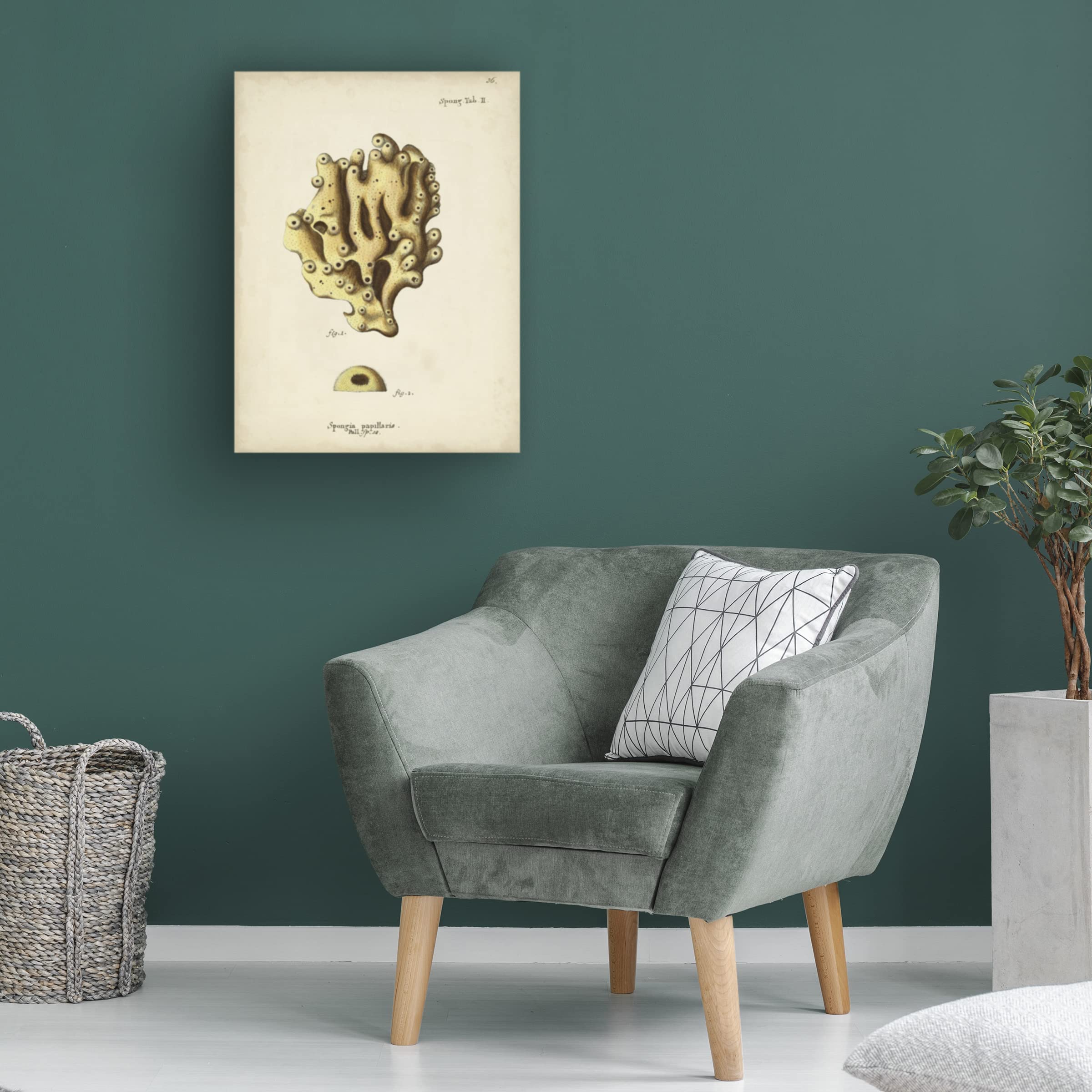 Trademark Fine Art 'Ecru Coral X' Canvas Wall Art Painting by Johann Esper - Modern Abstract Home Decor for Living Room, Bedroom & Office