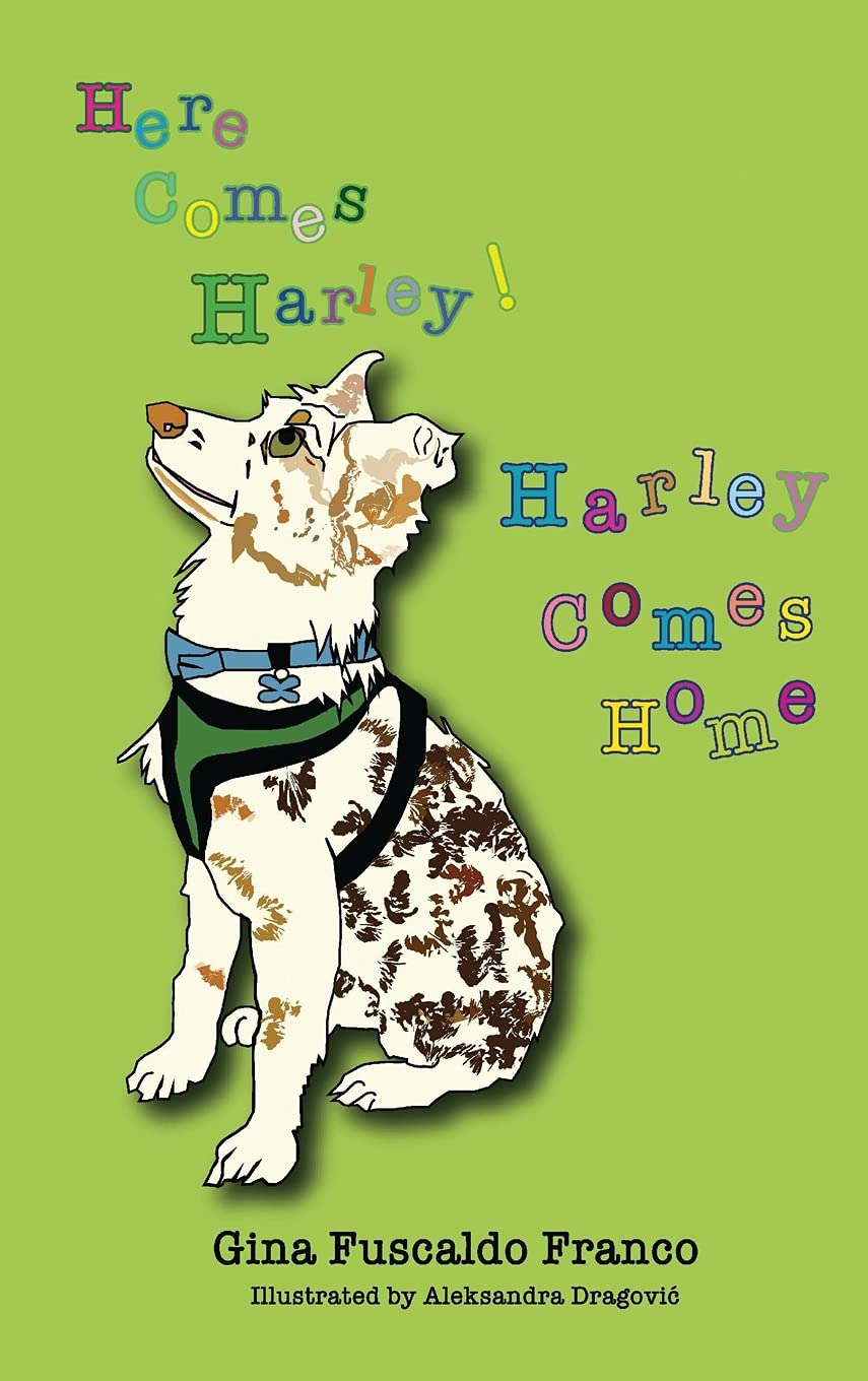 Harley Comes Home - Premium Motorcycle Gear & Accessories for Harley-Davidson Riders | Perfect for Road Trips & Biker Events