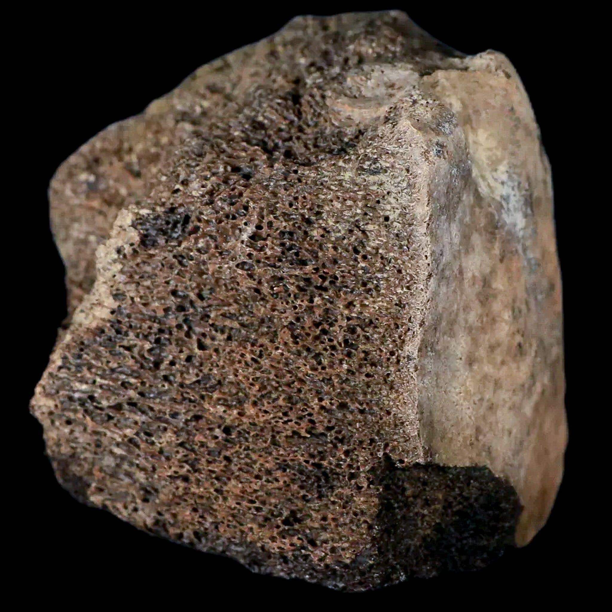 2.8
