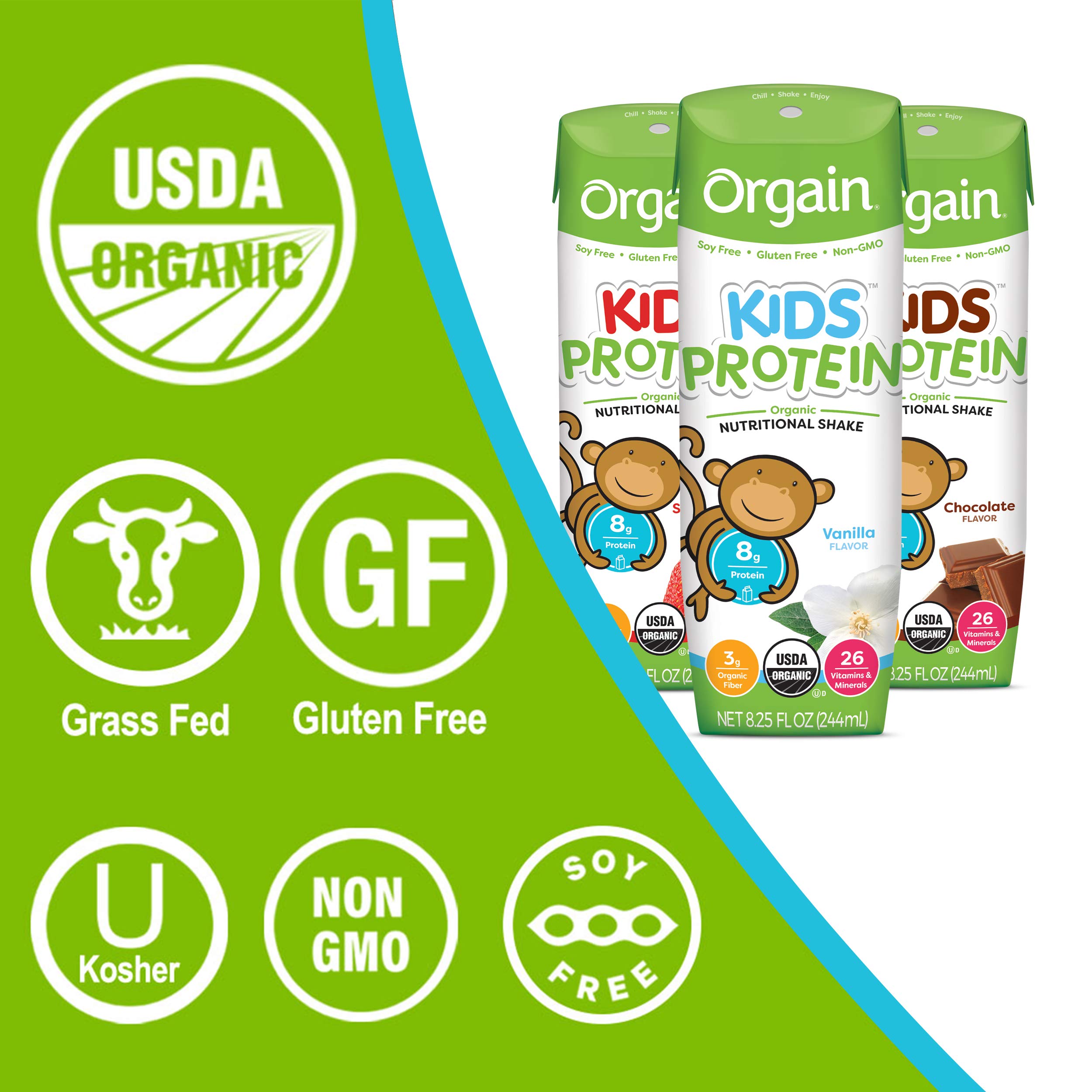 Orgain Organic Protein Powder with Superfoods, Vanilla Bean - 2.02lb | Kids Nutritional Protein Shake, Vanilla (12 Pack) - Perfect for Post-Workout Recovery & Healthy Kids Snacks
