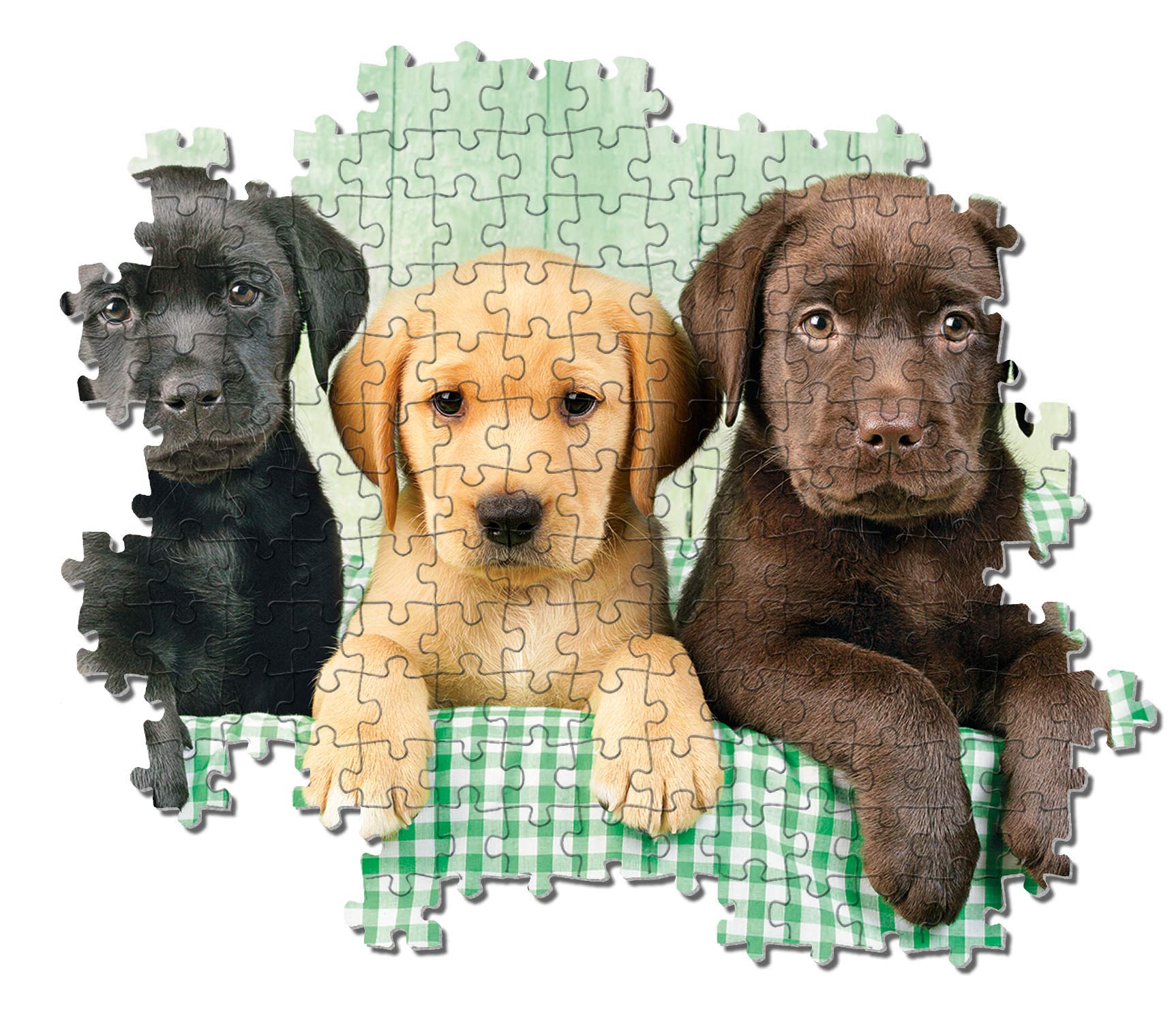 Clementoni 1000 Piece Jigsaw Puzzle - Three Labradors Dog Breed Puzzle for Adults (Square Box) | Challenging Puzzle Game for Family Night & Relaxation