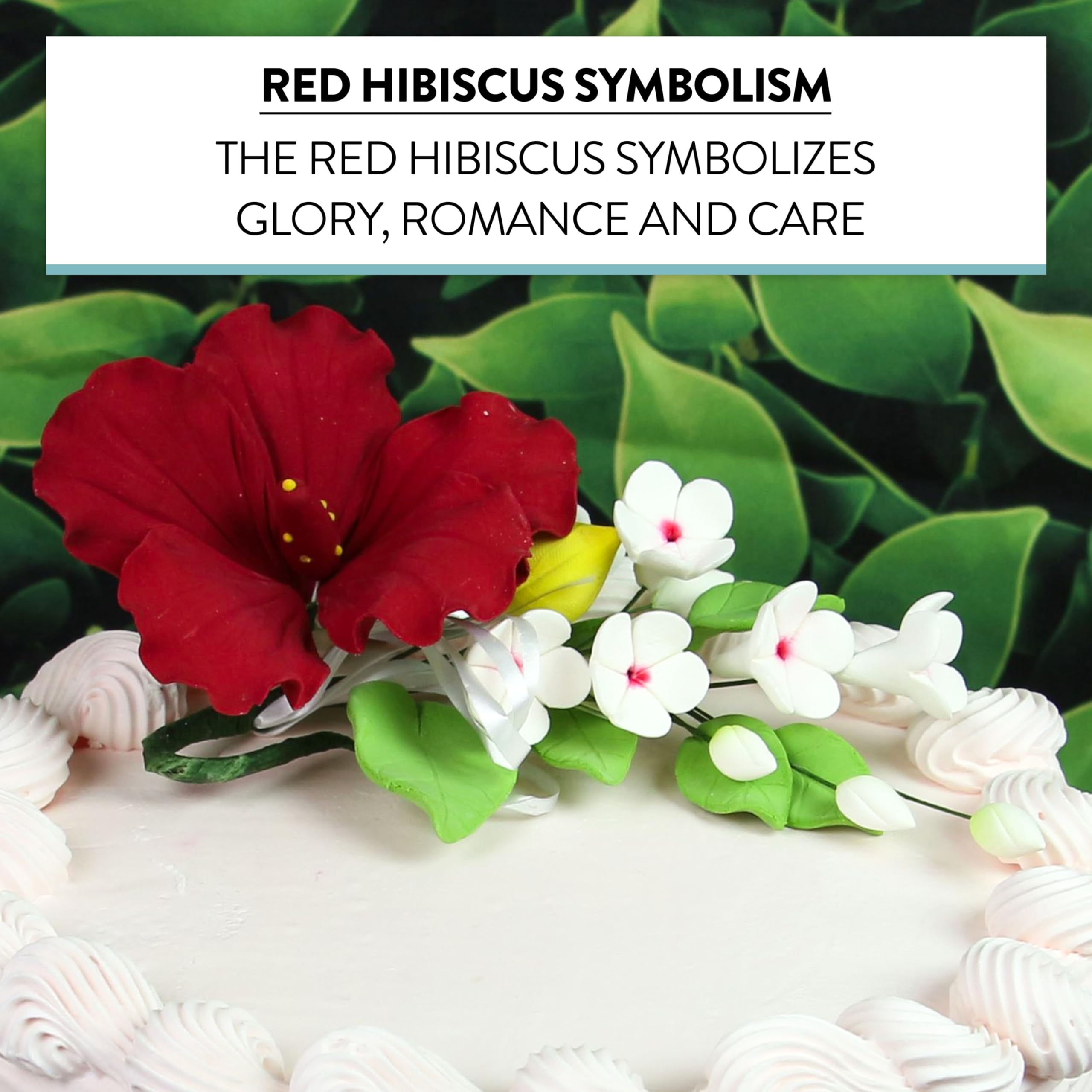 Chef Alan Tetreault Red Hibiscus Sugar Cake Flowers - Edible Cake Topper for Hawaiian Themed Cakes, Cupcakes & Desserts - 1 Count - Perfect for Tropical Parties, Weddings & Birthday Celebrations