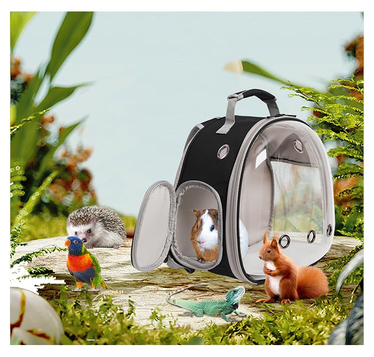 Guinea Pig Backpack Carrier - Small Animal Travel Backpack with Clear Bubble Window for Hedgehogs, Rats, Parrots, Rabbits & Sugar Gliders | Airline Approved Pet Carrier (Black) | Perfect for Vet Visits, Travel & Outdoor Adventures