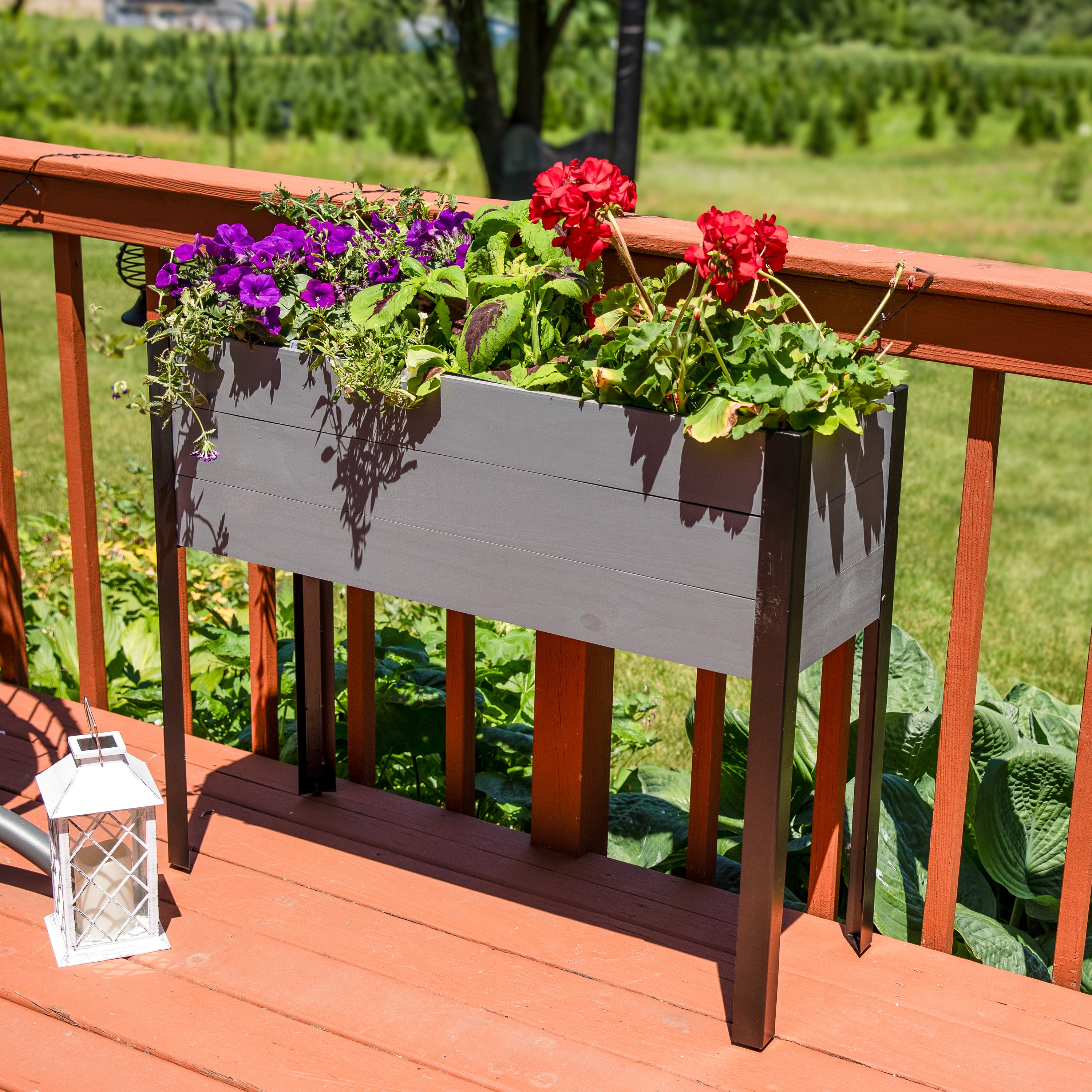Sunnydaze Acacia Wood Raised Garden Bed with Legs - 31 Inch Height - Durable Outdoor Planter Box for Vegetables, Flowers & Herbs - Perfect for Patio, Backyard & Urban Gardening