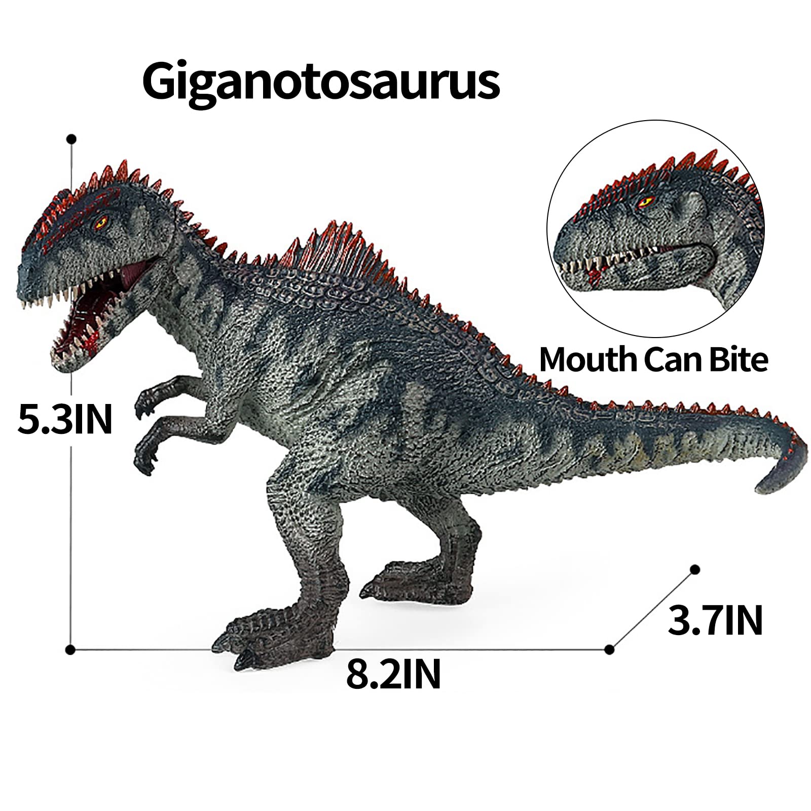 Giganotosaurus Dinosaur Toy with Movable Jaw - 9
