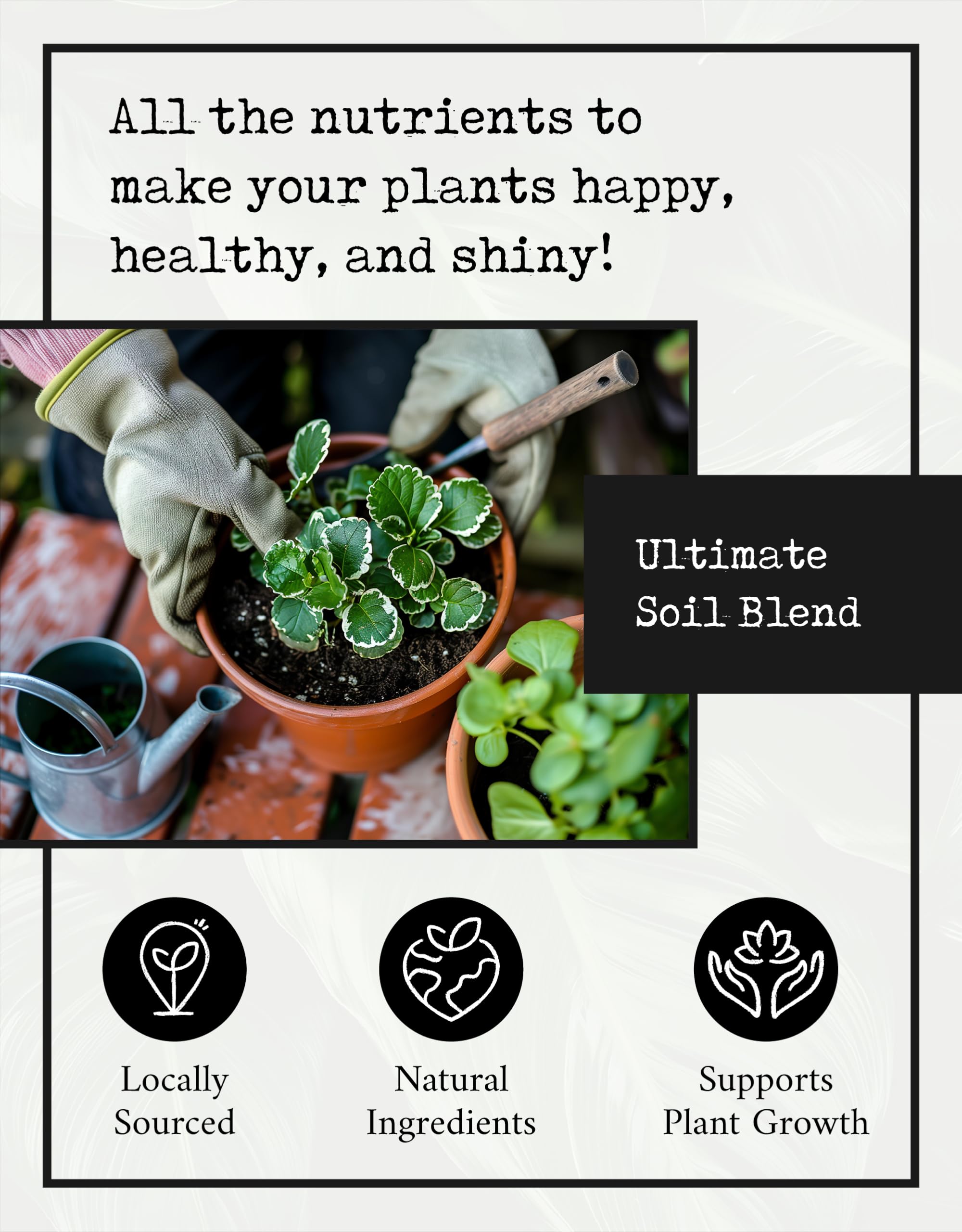Premium Organic Potting Soil Mix for 6