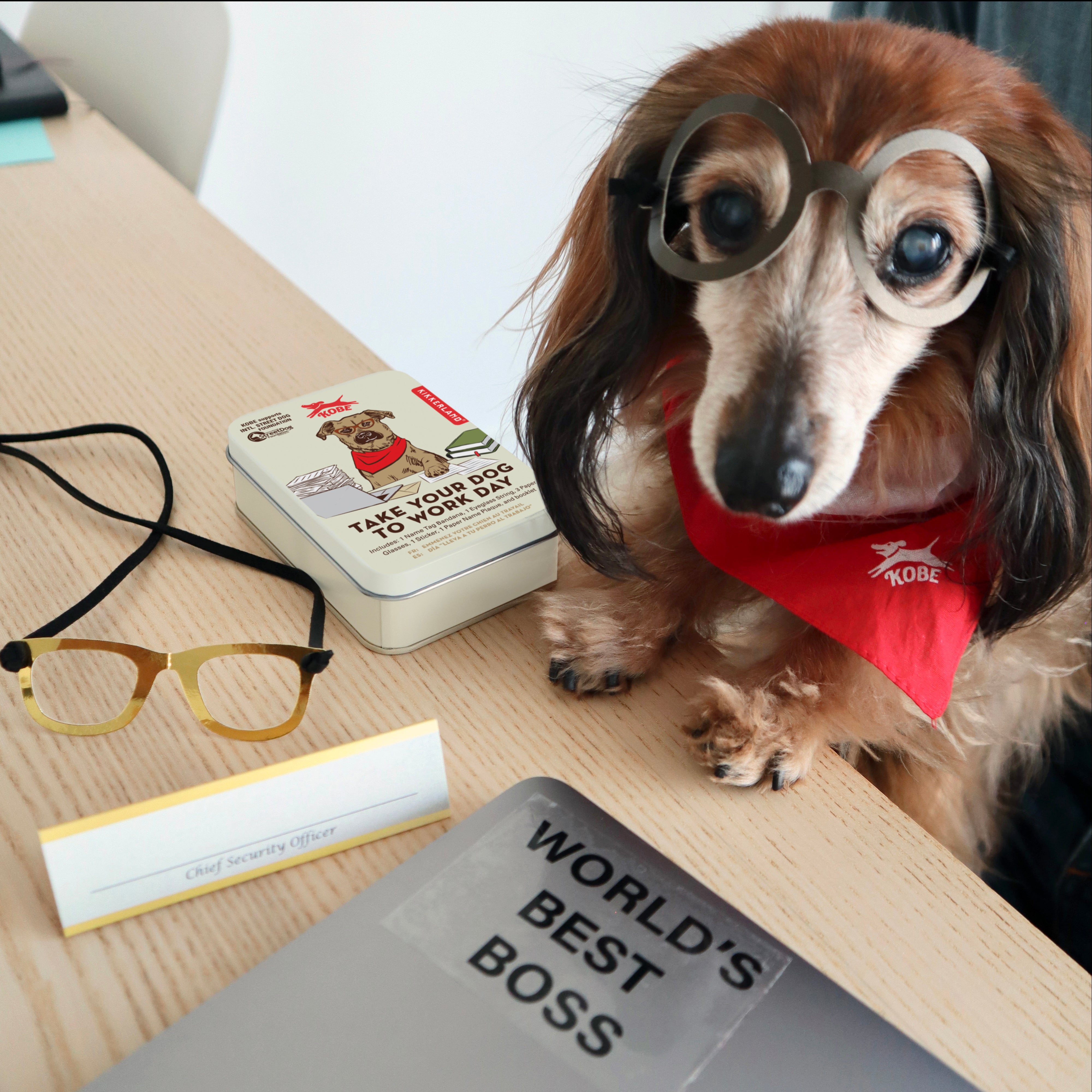 Kobe - Take Your Dog to Work Day | Pet-Friendly Office Accessories for Dog Lovers | Perfect for Office, Home & Outdoor Adventures