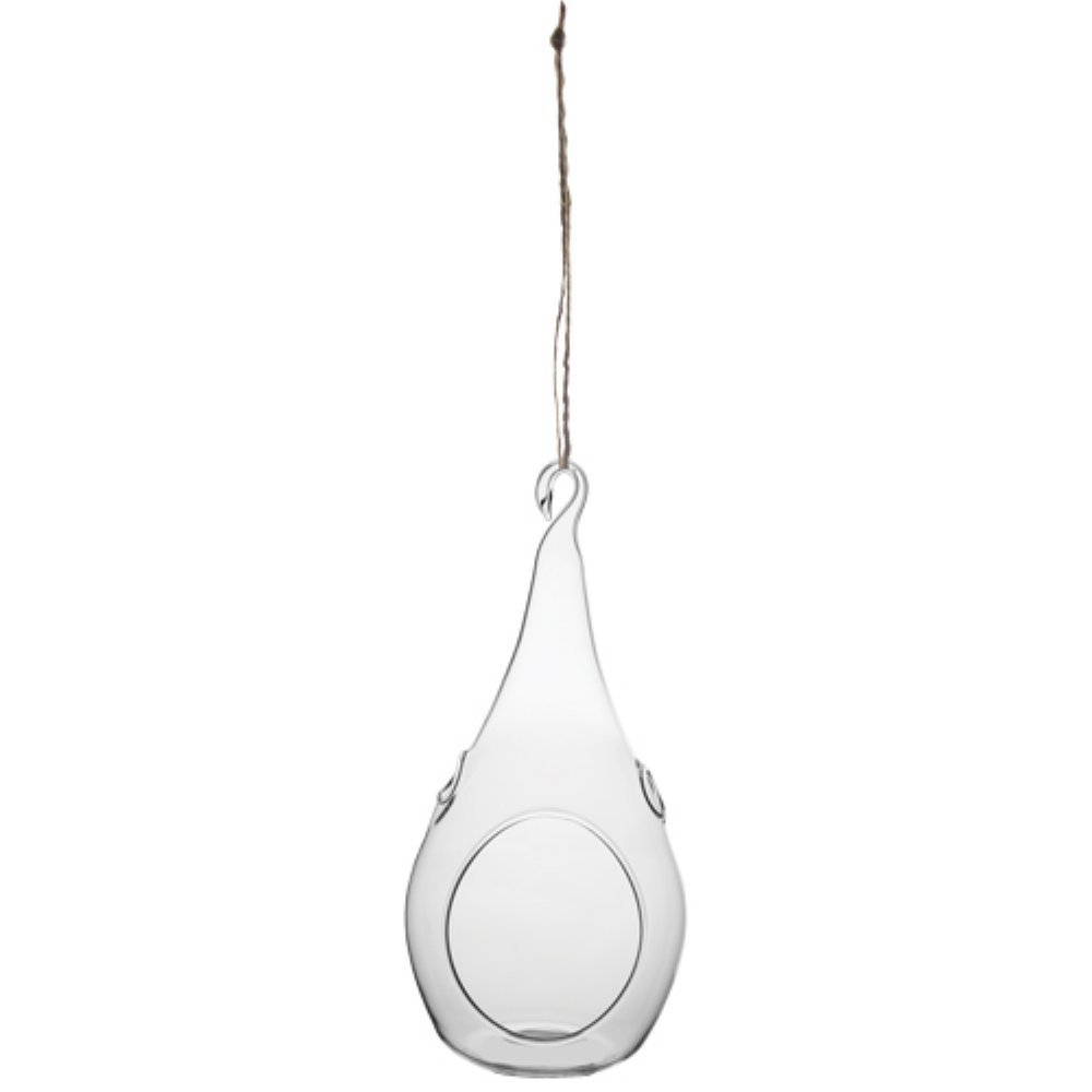 Syndicate Home & Garden Teardrop Hanging Terrarium with Glass Container - 4