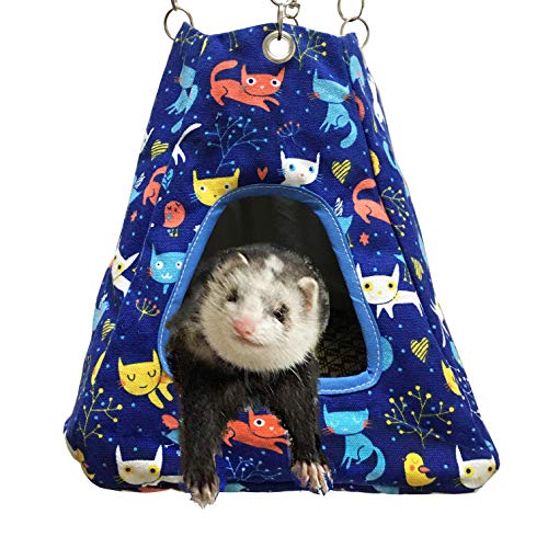 blue Tent