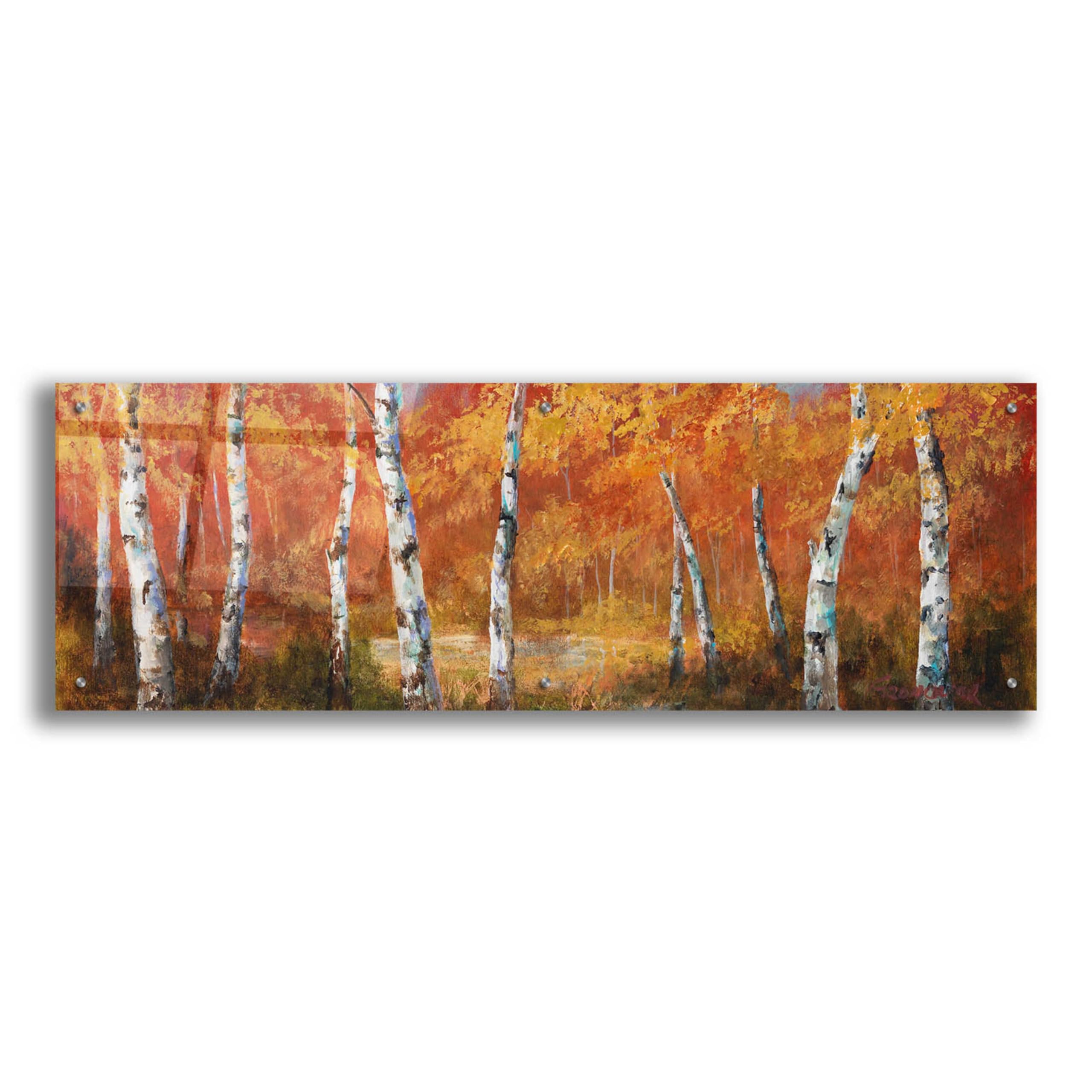 Epic Art 'Autumn Birch I' by Art Fronckowiak - 48x16 Inch Acrylic Glass Wall Art Painting - Modern Home Decor for Living Room, Bedroom & Office