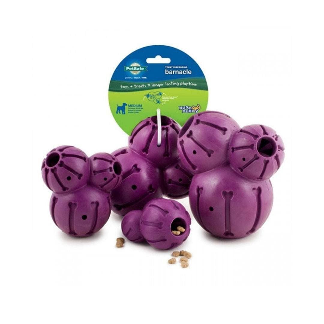 Busy Buddy® Barnacle Dog Toy - Interactive Chew Toy for Small & Medium Dogs - Great for Teething, Boredom & Dental Health - Perfect for Indoor & Outdoor Play