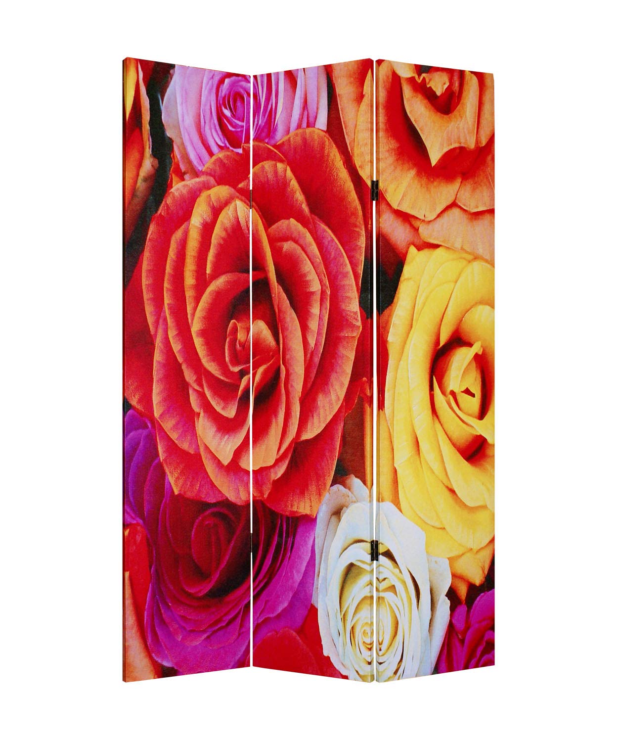 Daisy and Rose Room Divider - 6 Panel Folding Privacy Screen with Floral Design for Home, Office, or Event Decoration | Perfect for Bedroom, Living Room, and Wedding Backdrop