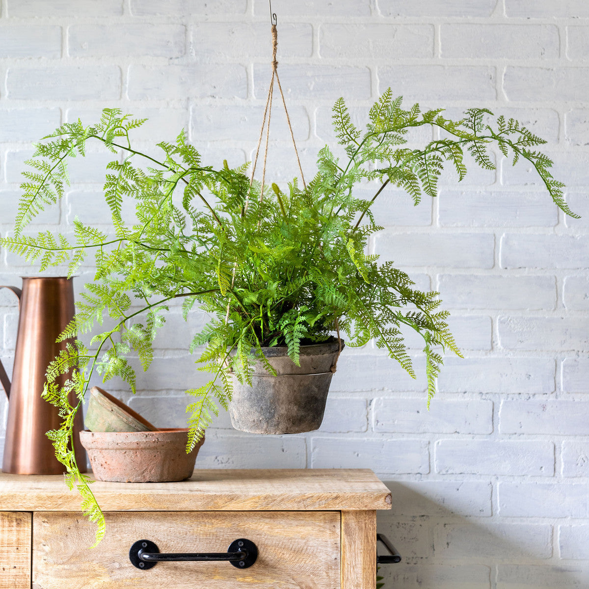 Large Indoor Hanging Fern Plant - Lush Green Boston Fern for Home Decor, Office & Patio - Perfect for Living Room, Bedroom, Balcony & Garden Decor