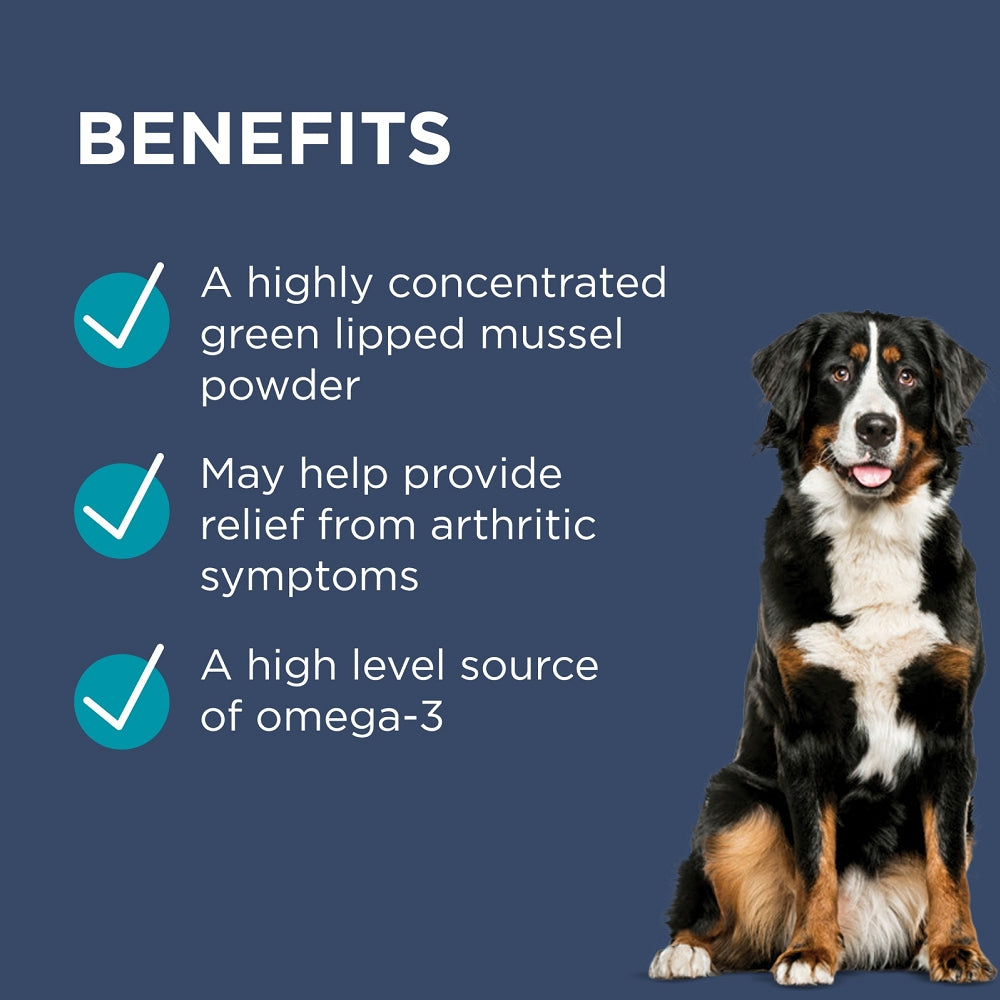 Premium Paw Osteocare Joint Advanced Care Supplement for Dogs - Supports Mobility & Joint Health - Ideal for Senior & Active Dogs