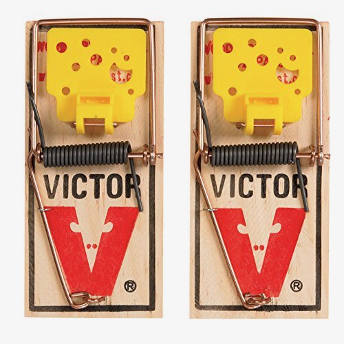 Victor EZ Set Mouse Trap (Pack of 50) - Humane & Effective Rodent Control for Home, Garage & Basement - Easy to Use & Reusable Mouse Catcher