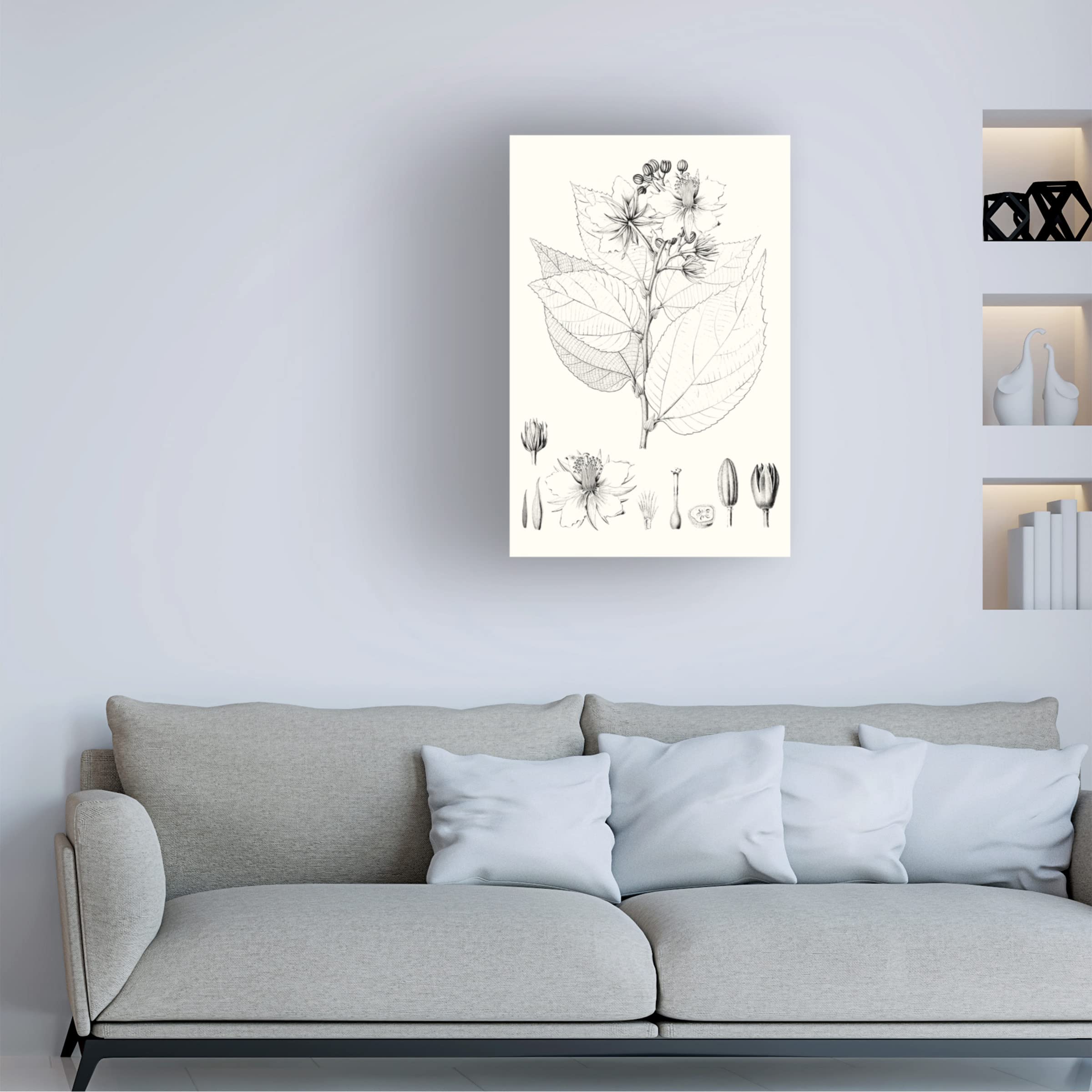 Trademark Fine Art 'Illustrative Leaves III' Canvas Wall Art Print by Vision Studio - Perfect for Living Room, Bedroom & Office Decor