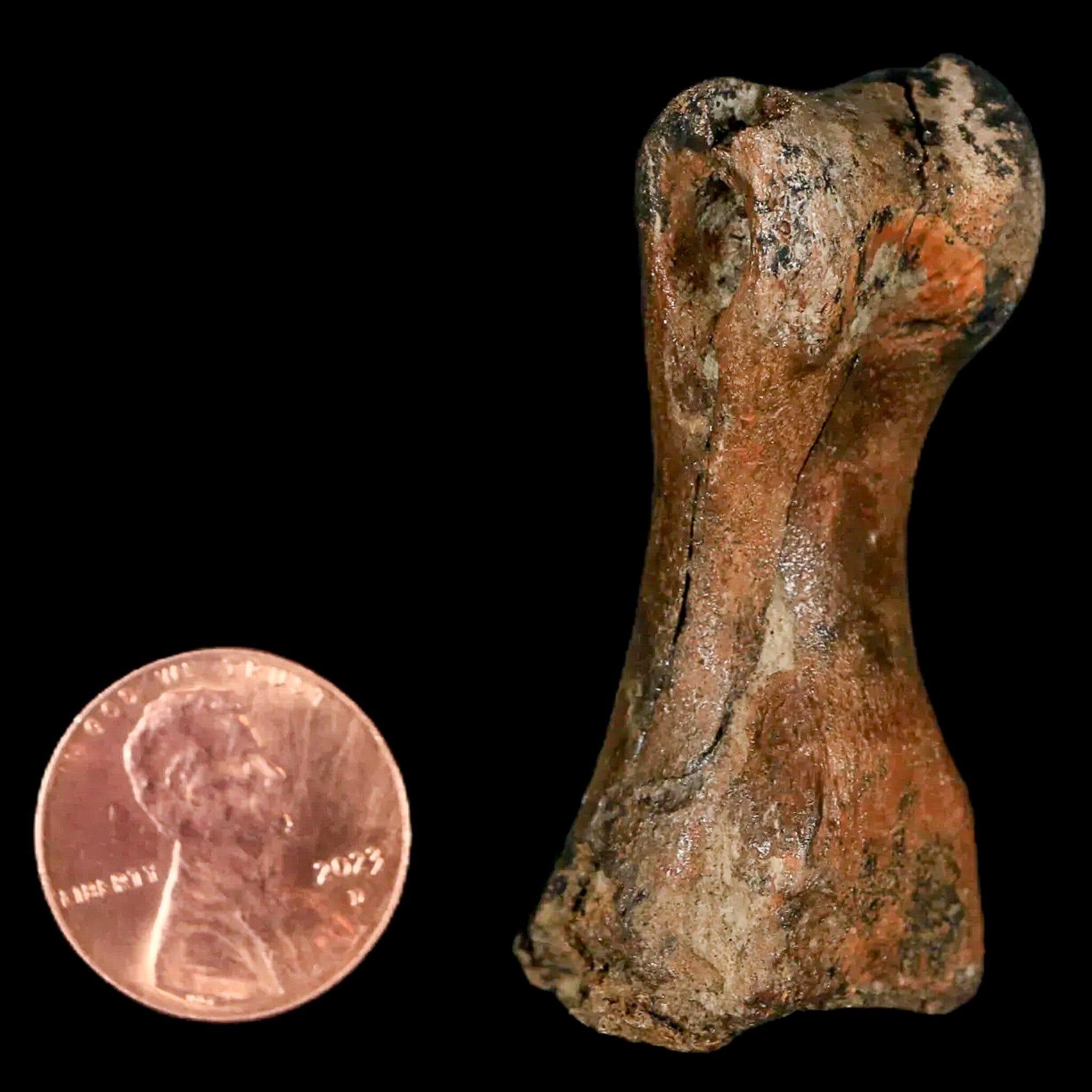 1.9