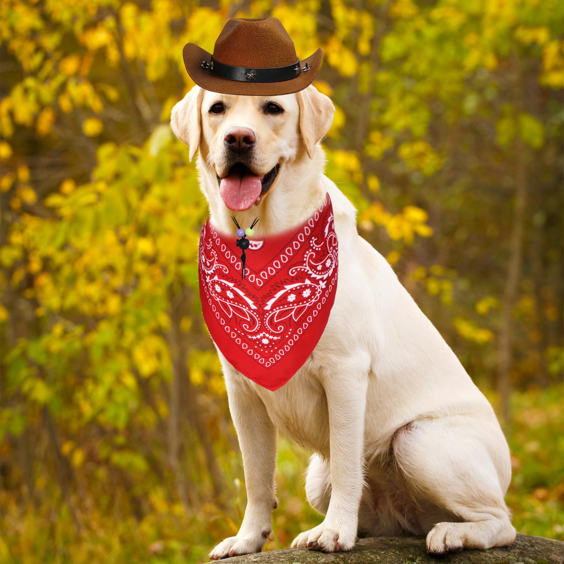 Funny Dog Cowboy Costume for Halloween - Brown Hat & Red Bandana Scarf Set for Small, Medium & Large Dogs | Perfect for Pet Parties, Trick-or-Treating & Photo Shoots