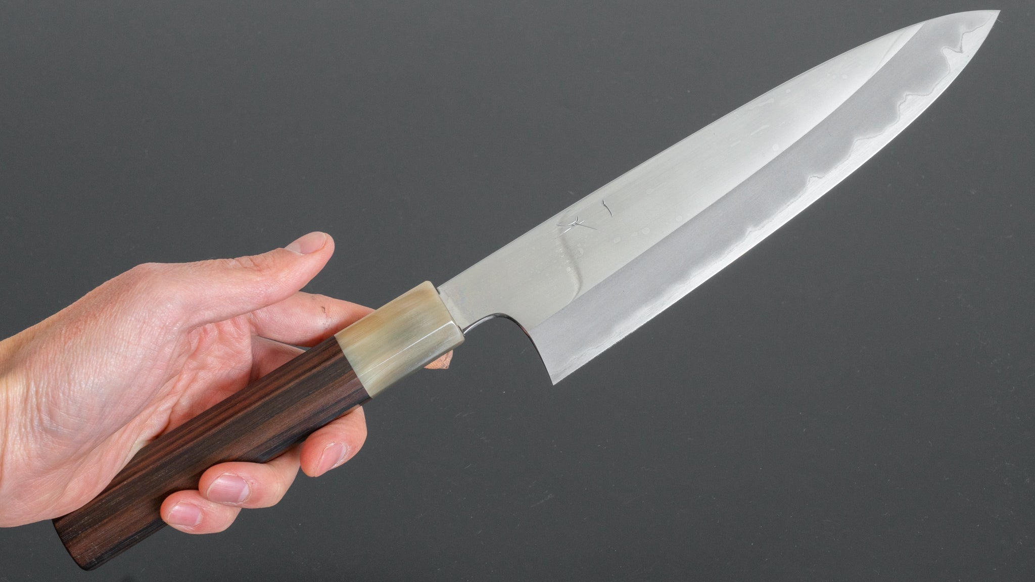 Hitohira Togashi White #1 Stainless Clad Gyuto 210mm Japanese Chef Knife - Taihei Makassar Ebony Handle (Mirror Polished) - Perfect for Sushi, Sashimi & Precision Cutting