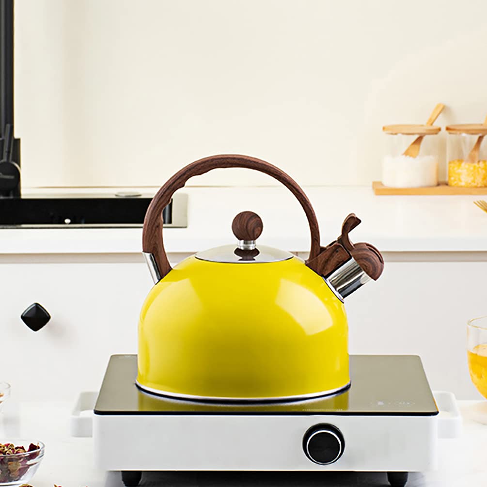 HEMOTON 1Pc Stainless Steel Whistling Tea Kettle - Small Farmhouse Pot for Boiling Water, Tea & Coffee - Perfect for Gas Stove, Camping & Travel - Durable Metal Water Pitcher for Home & Outdoor Use