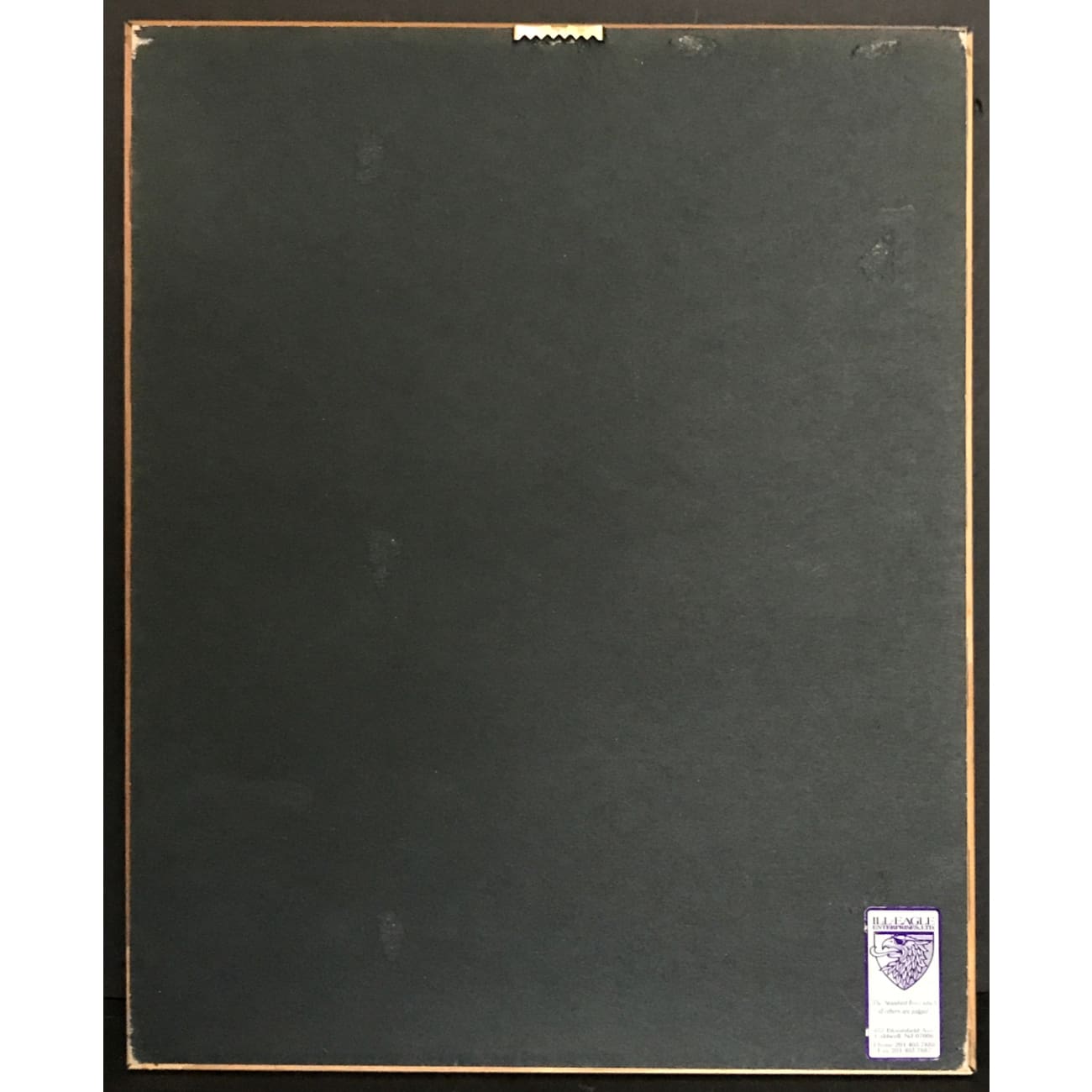 311 The Blue Album RIAA Platinum Album Award - Official Music Collectible for Fans, Display & Home Decor - Perfect for Music Lovers, Memorabilia Collections & Gift Giving