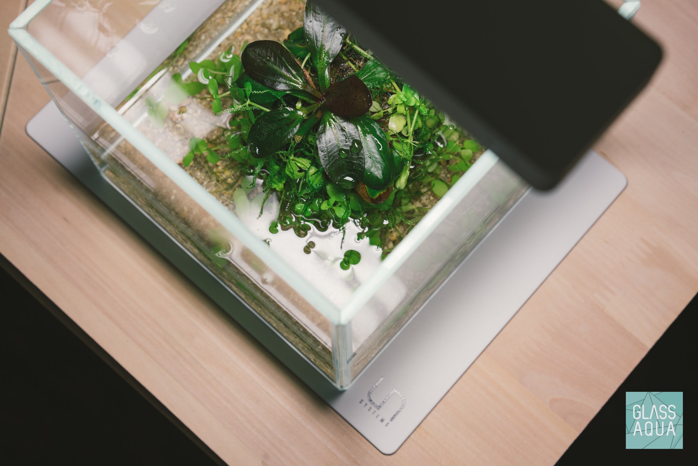 Premium UNS Rimless Cube Glass Aquarium Tank - 5 Gallon Crystal Clear Nano Fish Tank for Betta, Shrimp & Aquatic Plants | Perfect for Home, Office & Classroom Decor
