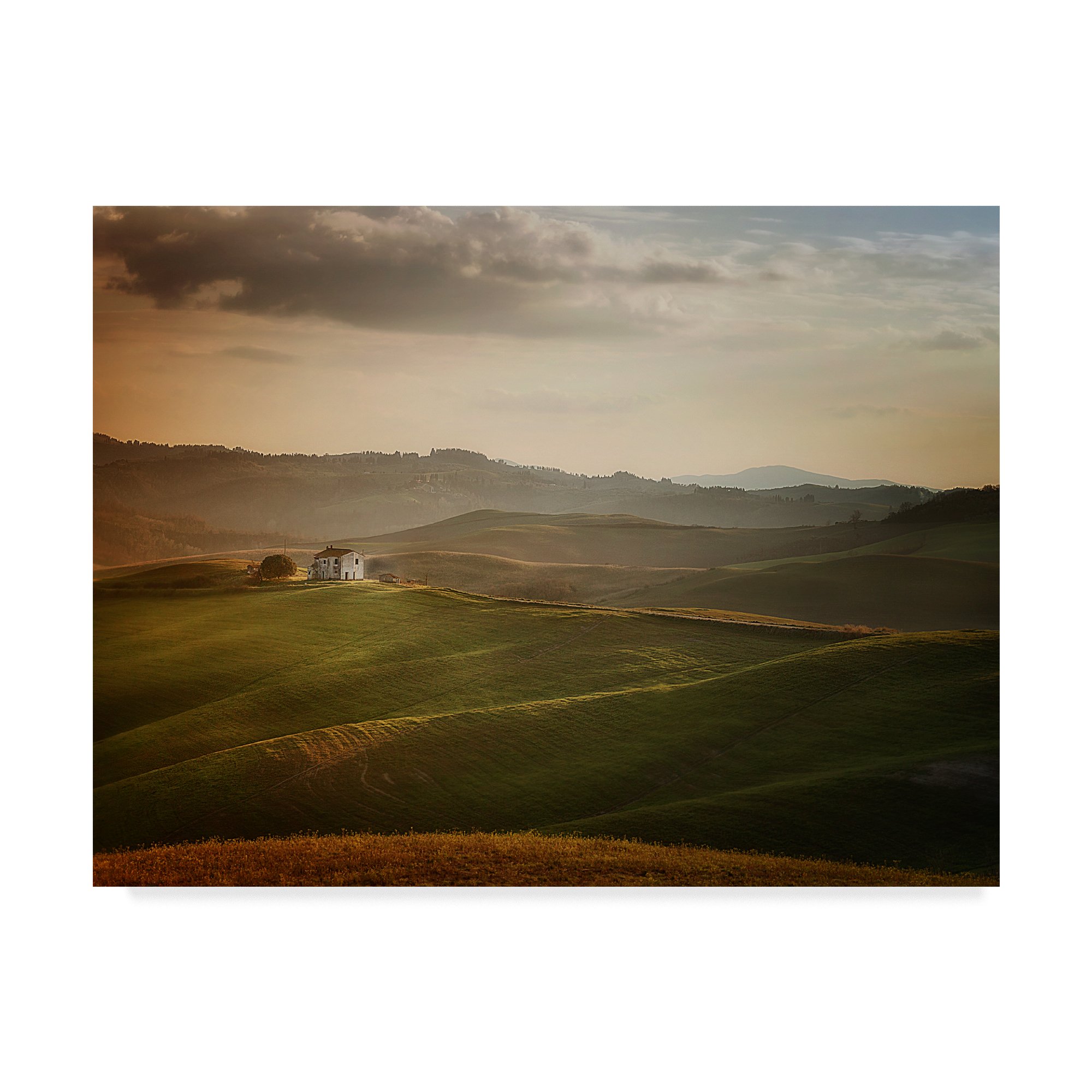 Trademark Fine Art Antonio Longobardi Multicolor Canvas Painting - Premium Wall Art Decor for Living Room, Bedroom & Office