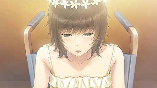 FLOWERS -Le Volume Sur Ete- Limited Edition Japanese Import | Anime Soundtrack & Collector's Item for Fans of Visual Novels & Otaku Culture