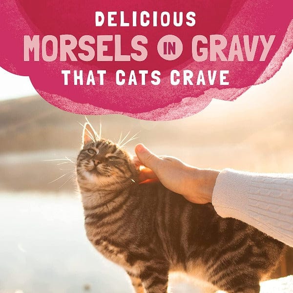 Natural Balance Platefulls Salmon, Tuna, Chicken & Shrimp Recipe Morsels in Gravy - Grain-Free Wet Cat Food Pouches for Adult Cats - Perfect for Mealtime, Travel & Picky Eaters
