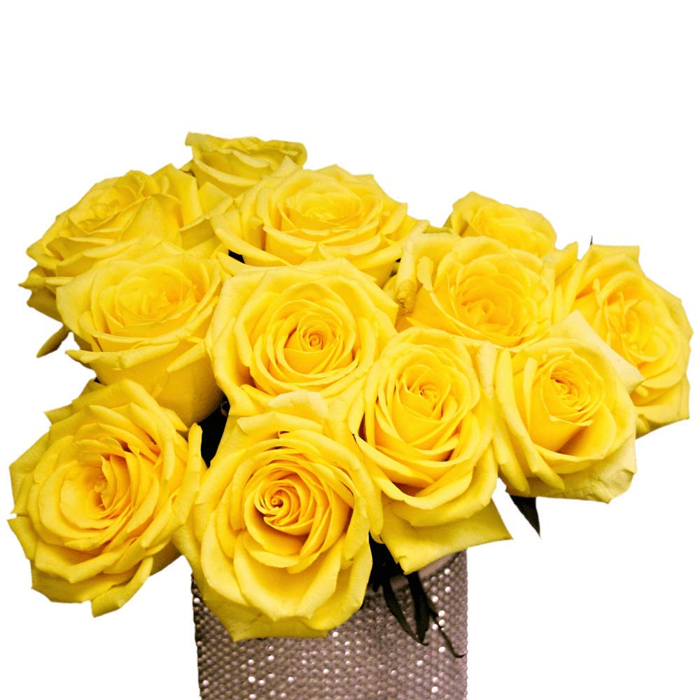 Fresh Cut Yellow Roses - 100 Gold Strike Roses for Wedding Bouquets, Anniversary Gifts & Home Decor | Premium Long-Lasting Flowers