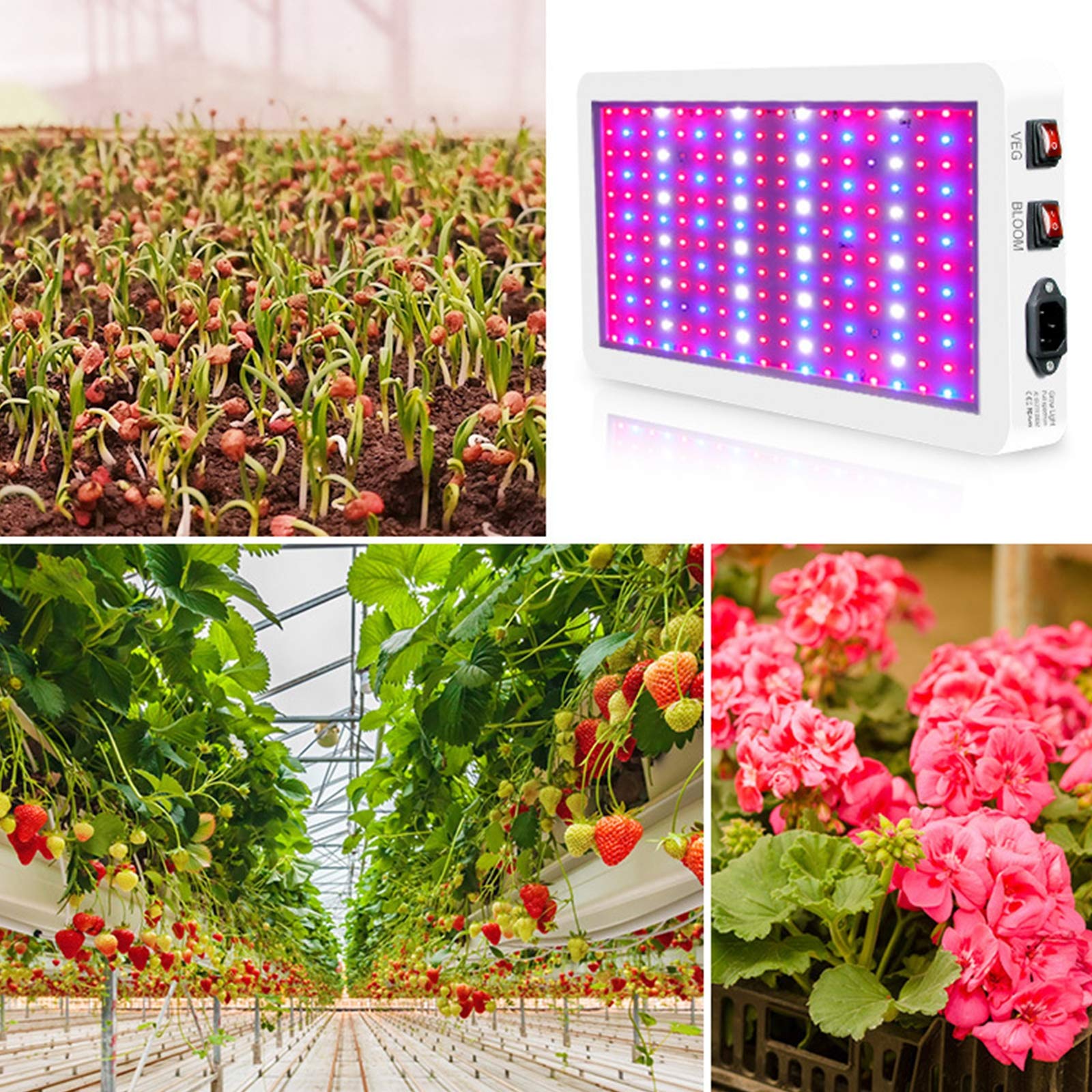 2000W Full Spectrum LED Grow Light for Indoor Plants - Adjustable Double Switch with 312 LEDs, Waterproof & Anti-Leakage - Ideal for Greenhouse, Hydroponic Systems, Veg & Flower Growth (Perfect for Tomatoes, Herbs & Cannabis)