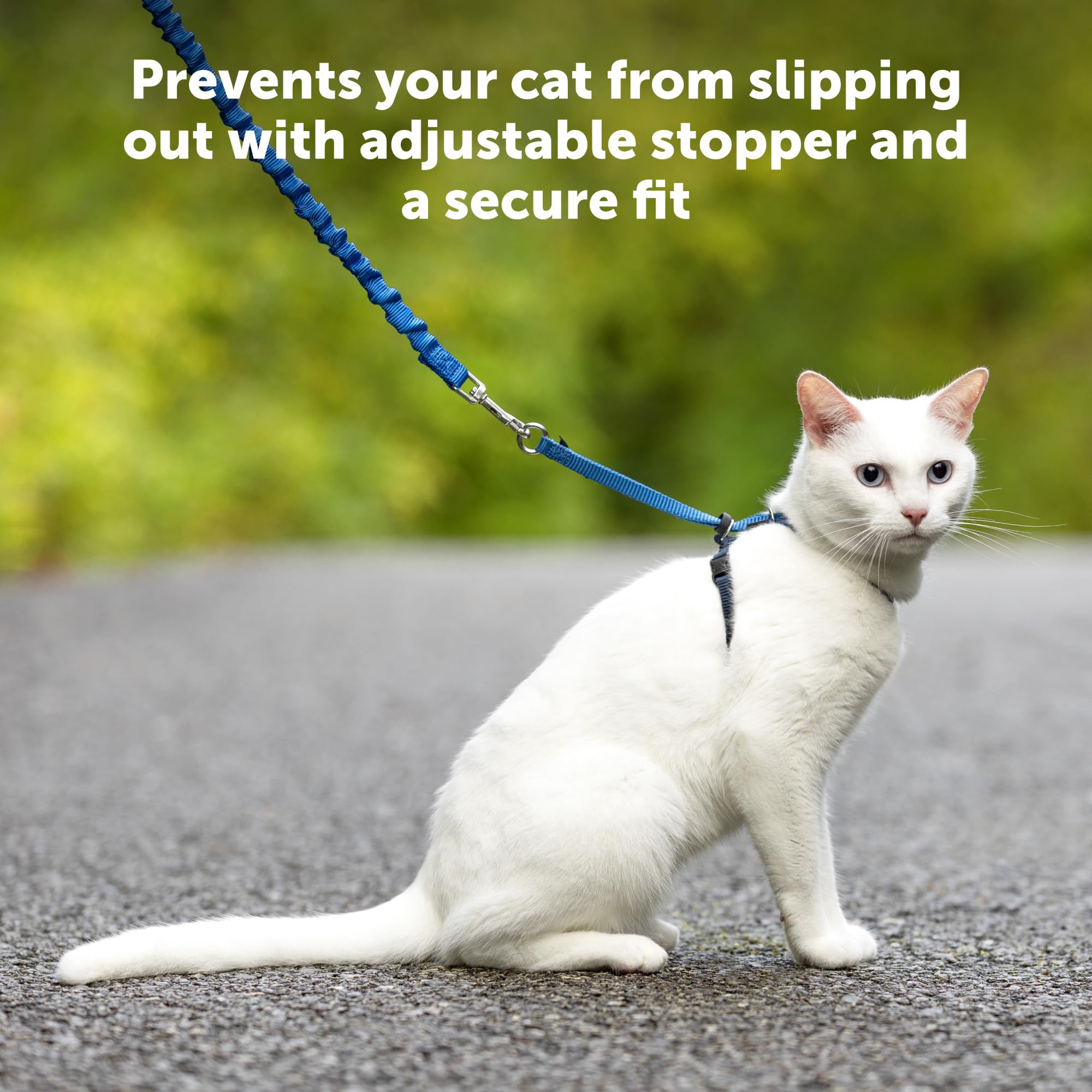 PetSafe Come with Me Kitty Harness & Bungee Leash for Cats - Medium Size, Dusty Rose - Safe Outdoor Walking & Training for Small Pets
