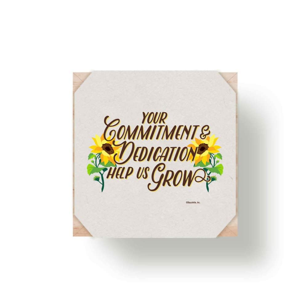 10 Pack Plant Cube Appreciation Gift Set - Sunflower Seeds, Peat Pellets & 3-Inch Wooden Planters - Perfect Thank You Gifts for Employees, Teachers, Nurses - Great for Office Decor, Classroom Activities & Wellness Gifts