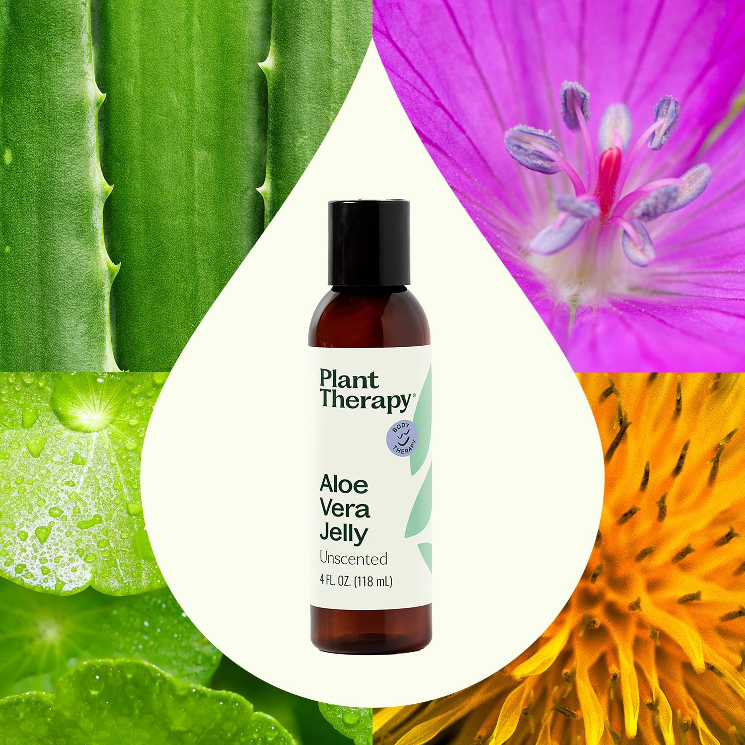Plant Therapy Aloe Vera Essential Oil Aromatherapy Jelly - 100% Natural, Unscented, 4 oz | Perfect for Skin Care, Massage & Relaxation