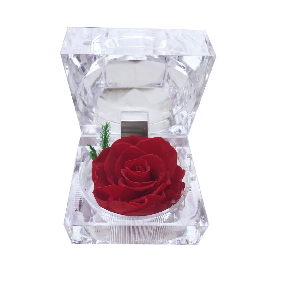Real Preserved Rose in Mini Clear Ring Box - Eternal Flower Gift for Women, Mom, Girlfriend, Grandma - Perfect for Mother's Day, Anniversary, Valentine's, Christmas & Birthday (Red) - Romantic Home Decor & Thoughtful Present for Special Occasions