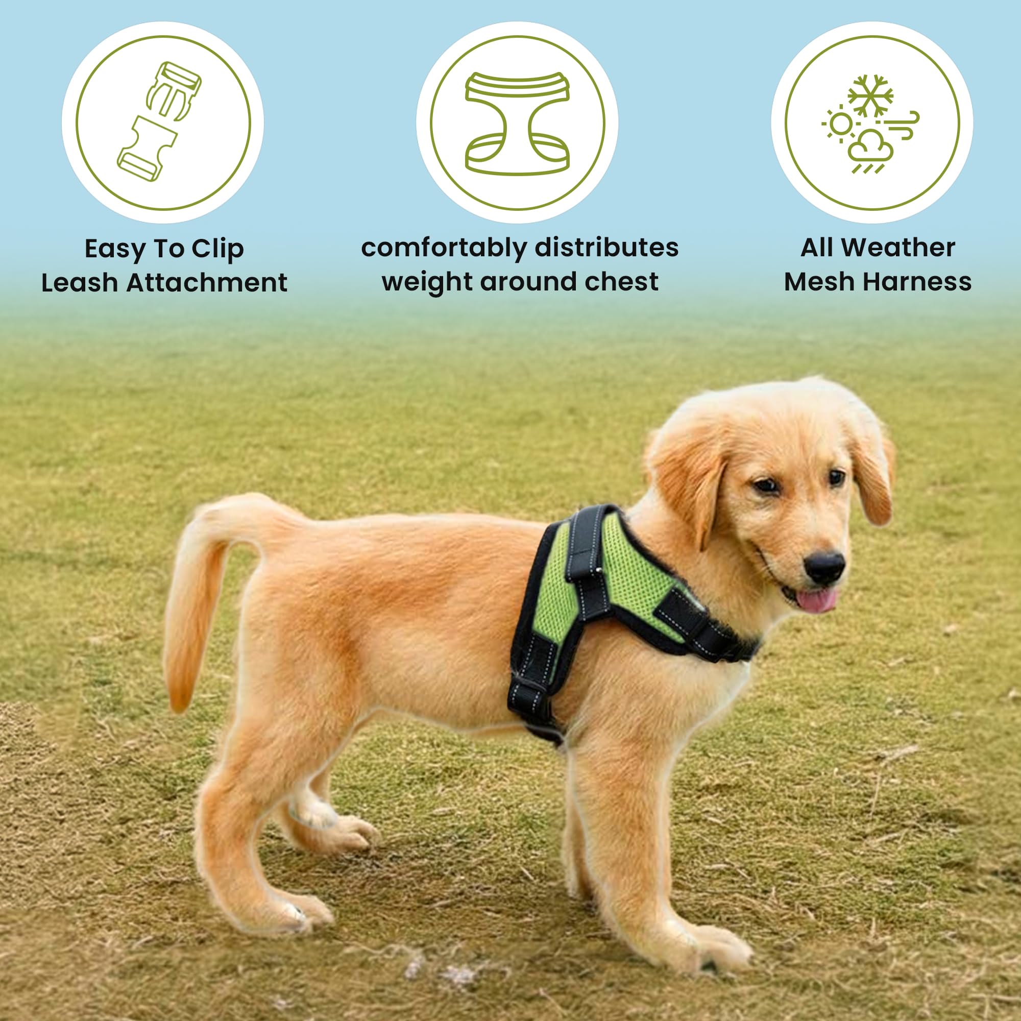 No Pull Reflective Adjustable Dog Harness with Handle - Comfortable Soft All-Weather Mesh Vest for Small Medium Large Dogs - Easy On Puppy Harness for Walking Running Hiking Training (Green, XX-Small)