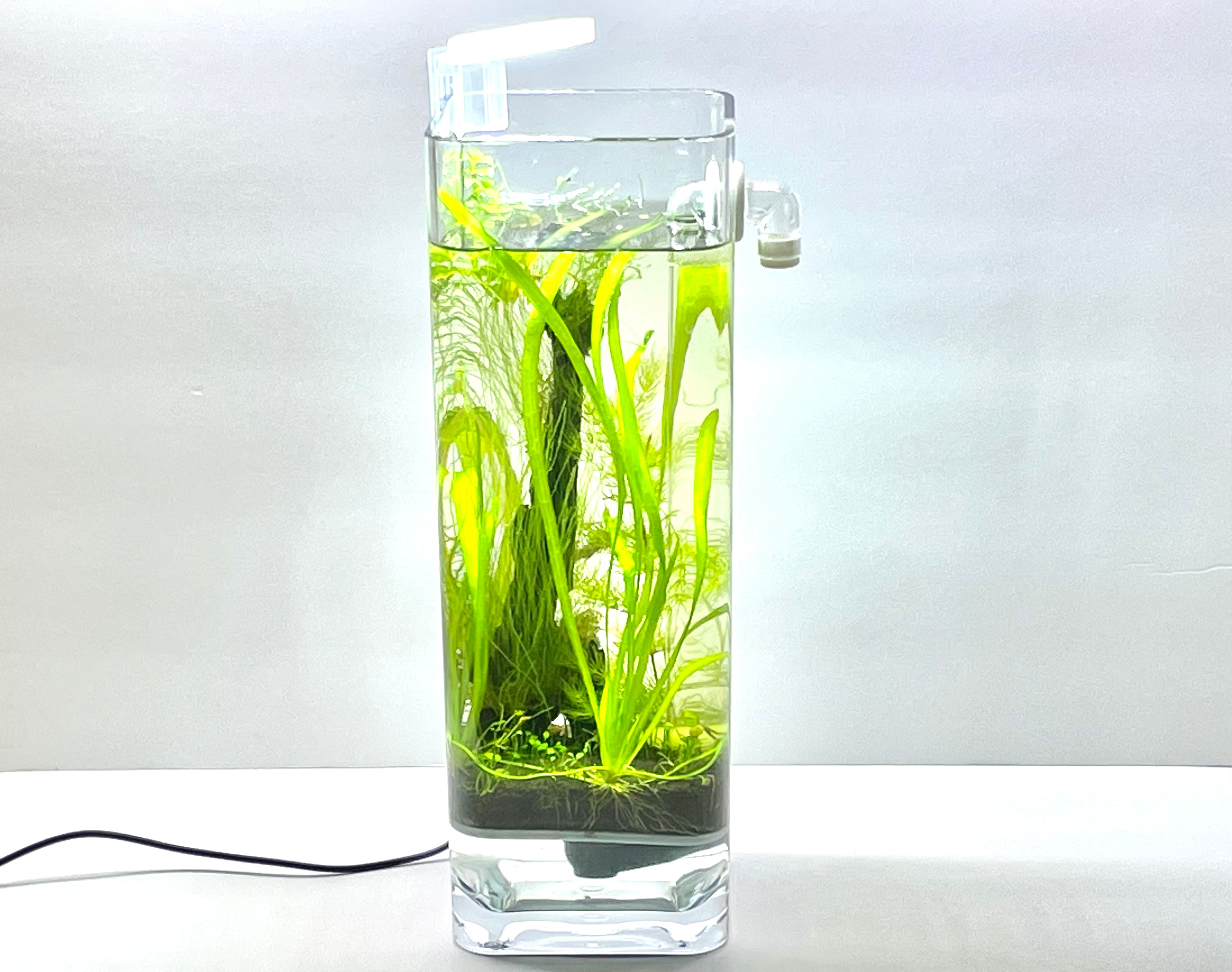 Premium Fine Grill, Aquarium Soil & Plant Anchors Kit - Ideal for 1 Gallon Fish Tank | Perfect for Small Aquascaping, Nano Tanks & Betta Fish Habitats
