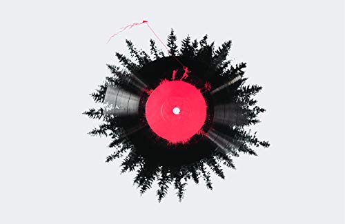 Vinyl Of My Life
