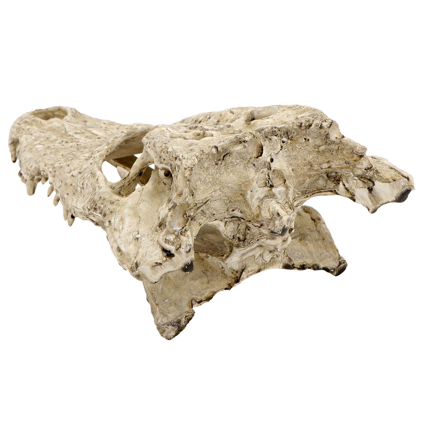 Dinosaur Skull Decor for Aquarium & Terrarium - Fish Tank Ornament