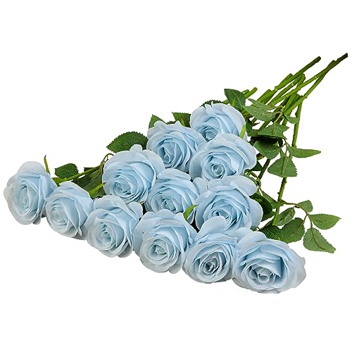 Baby Blue