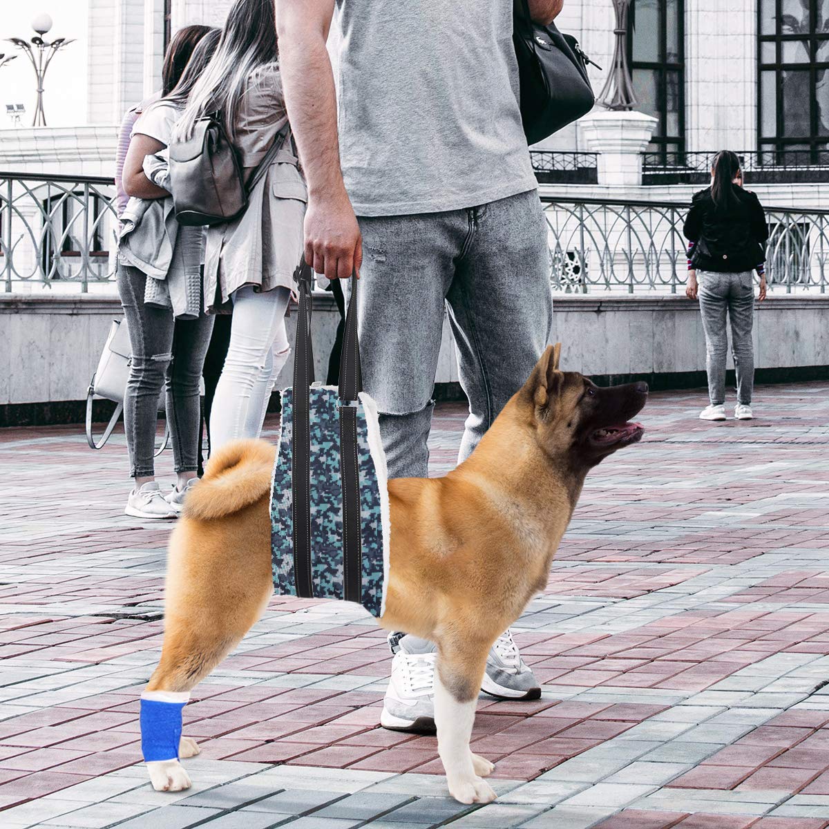 Voopet Dog Sling - Adjustable Hip Support Harness for Small, Medium & Large Dogs | Rear Leg Lift Assist for Canine Rehabilitation & Mobility Aid | Perfect for Post-Surgery Recovery, Arthritis Support & Elderly Dogs