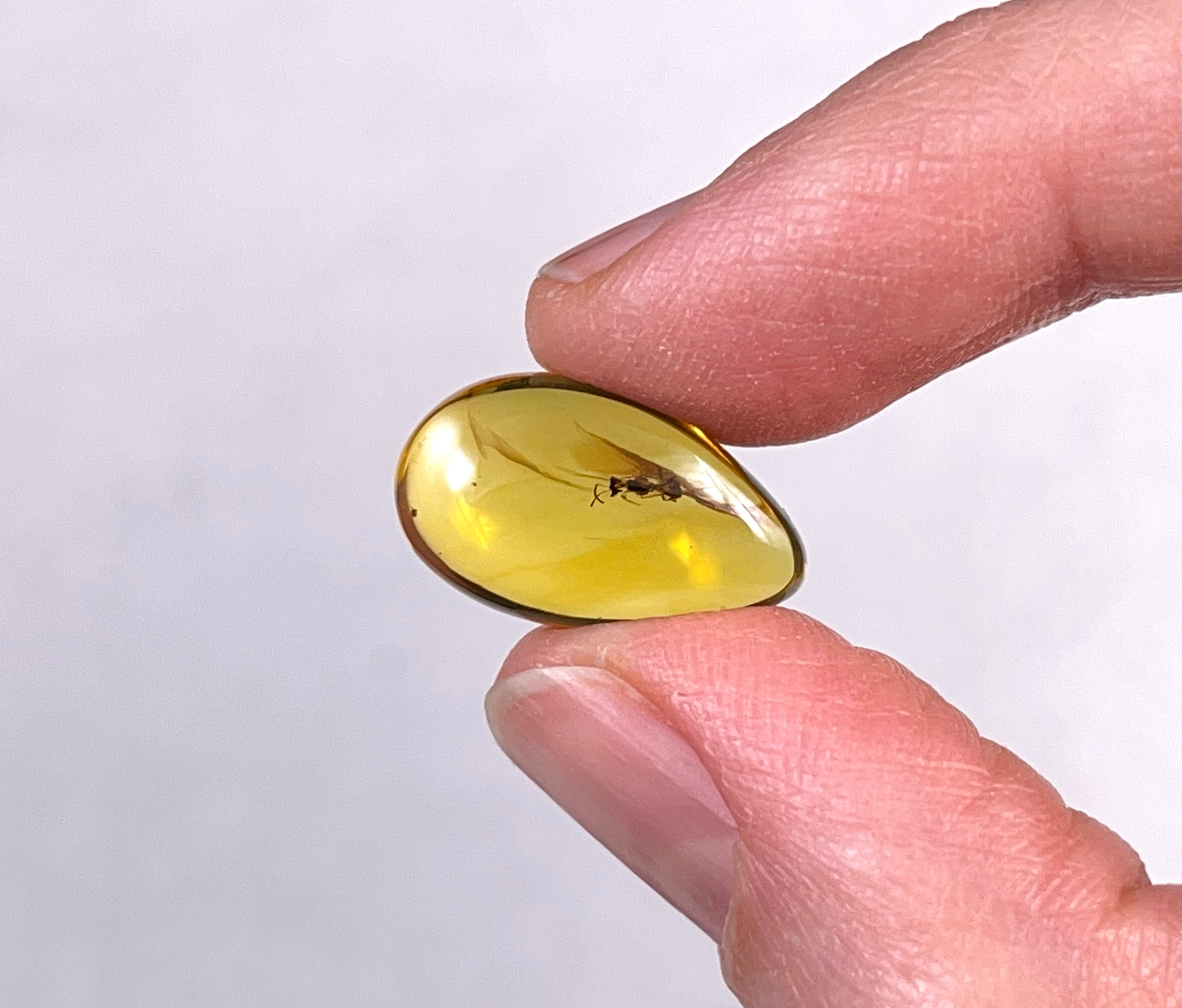 Real Fossil AMBER Stone with Insect Inclusion - Natural Tumbled Crystals & Healing Stones for Jewelry Making, Meditation & Home Decor (52762)