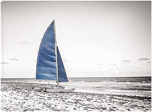 Blue Catamaran B&W