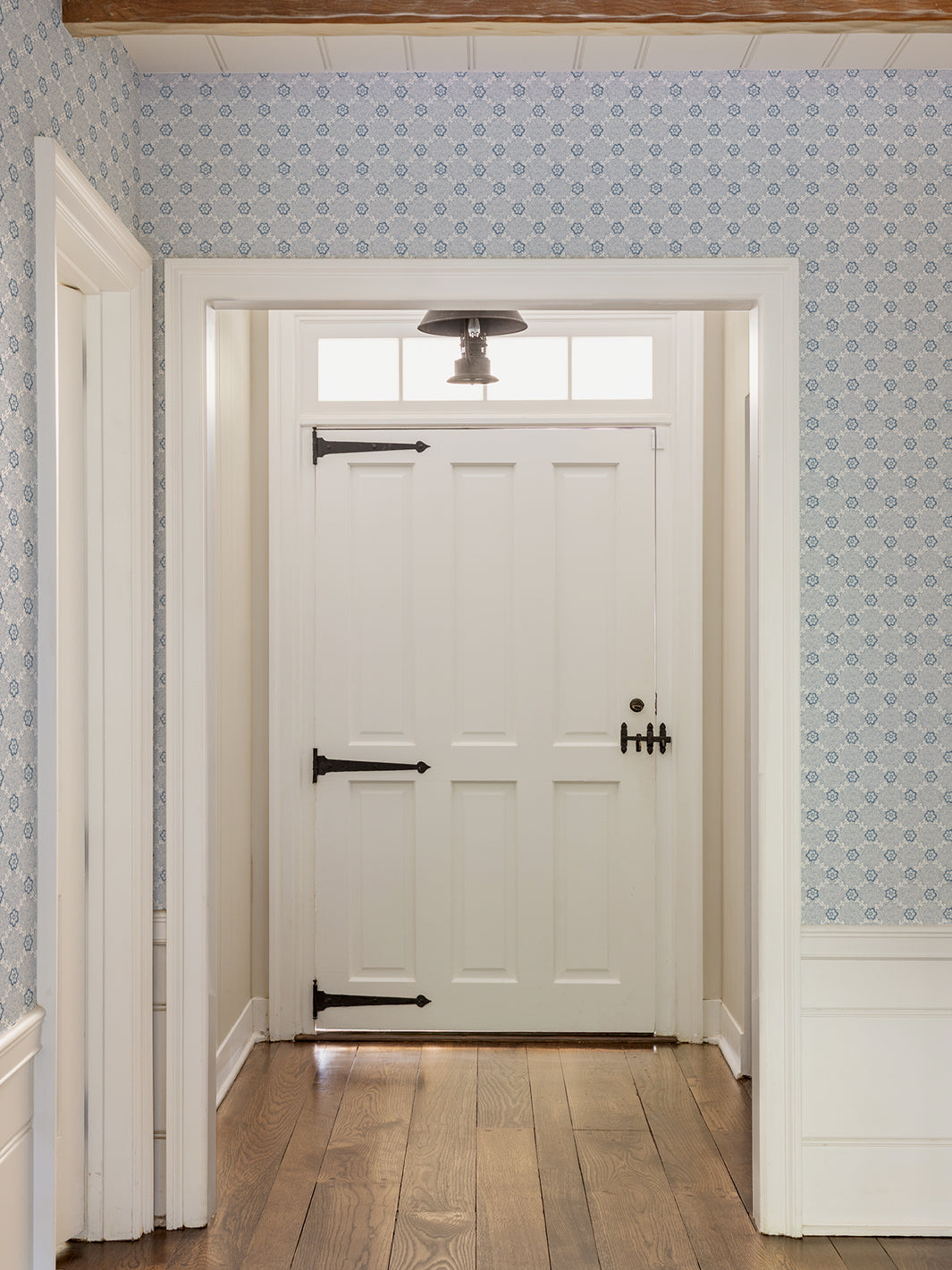 Nathan Turner 'Lucia' Dark Blue Wallpaper - Premium Peel & Stick Wallpaper for Living Room, Bedroom, and Home Decor