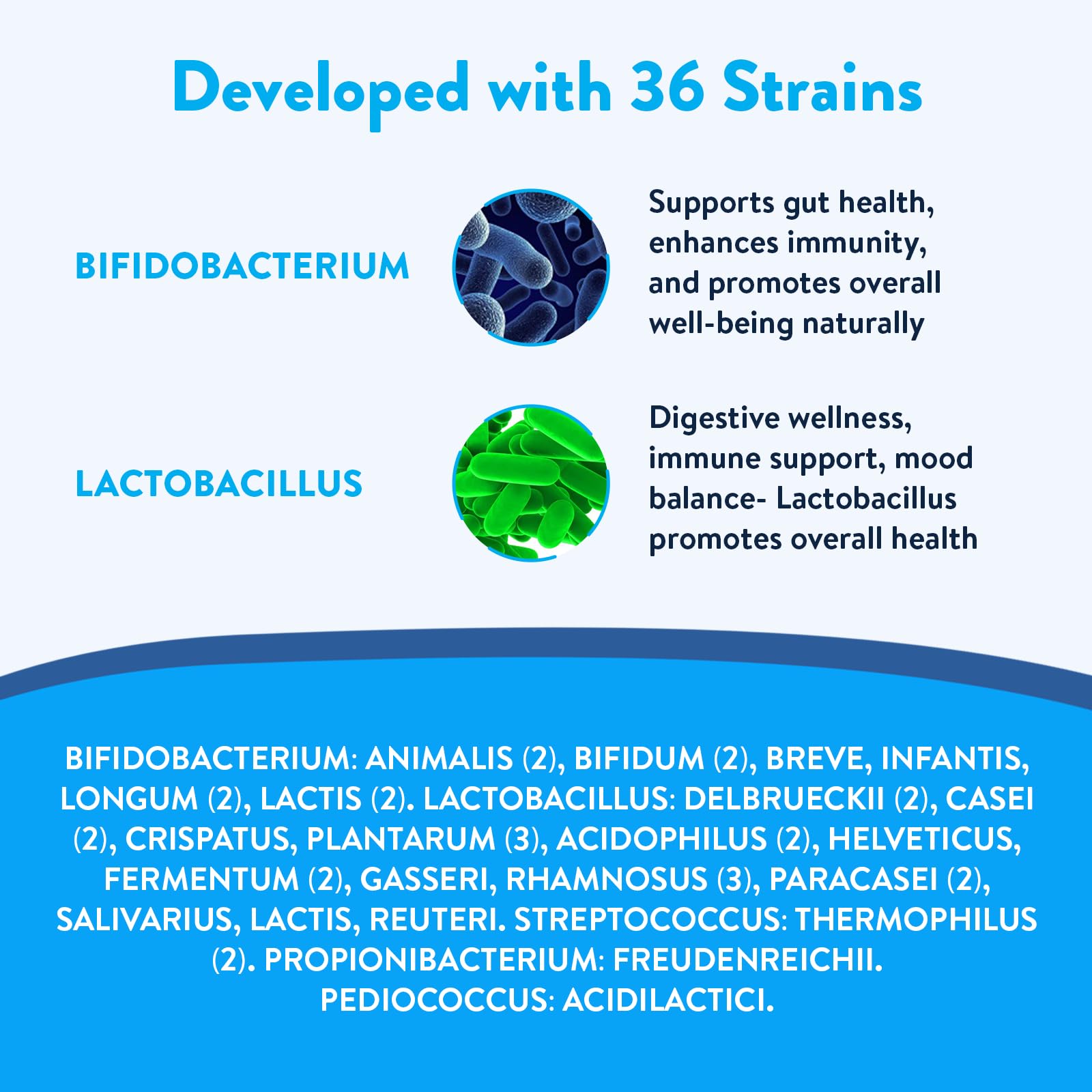 Probiotics 100 Billion CFU - 36 Strains - Vegan & Organic - Supports Digestion, Immune System, Brain Health & Mood - Berry Flavor (16-Pack) - Daily Gut Health Supplement for Adults & Kids