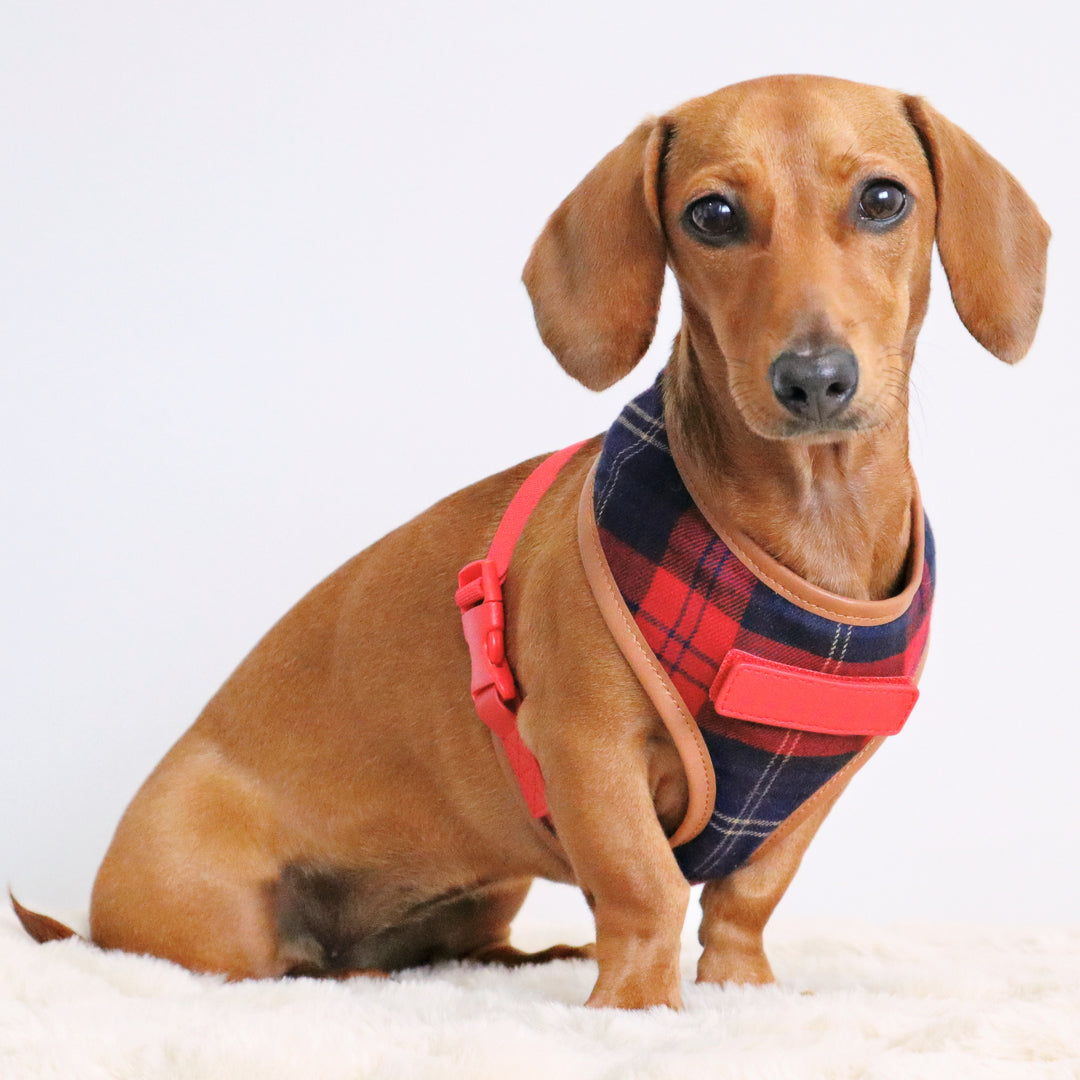 Premium Navy & Red Tartan Pattern Dog Harness - Adjustable Pet Vest for Small Medium Large Dogs - Perfect for Walking, Training & Outdoor Adventures