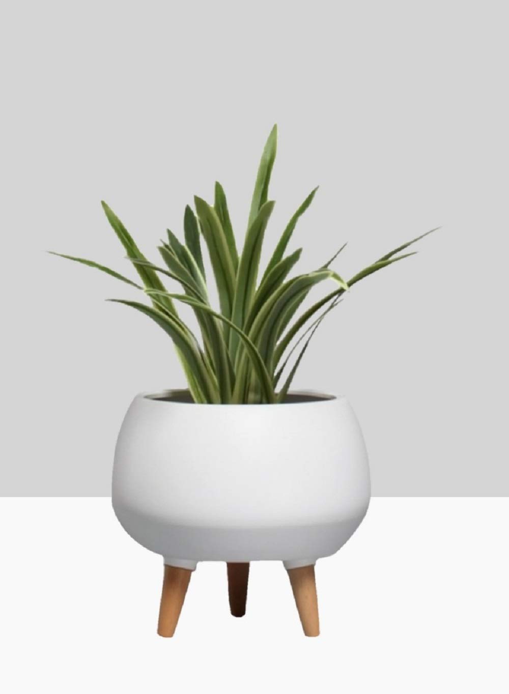 Serene Spaces Matte White Ceramic Plant Pot Holder with Wooden Legs – 9