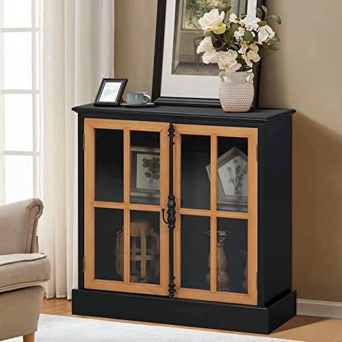 Black & Glass Doors