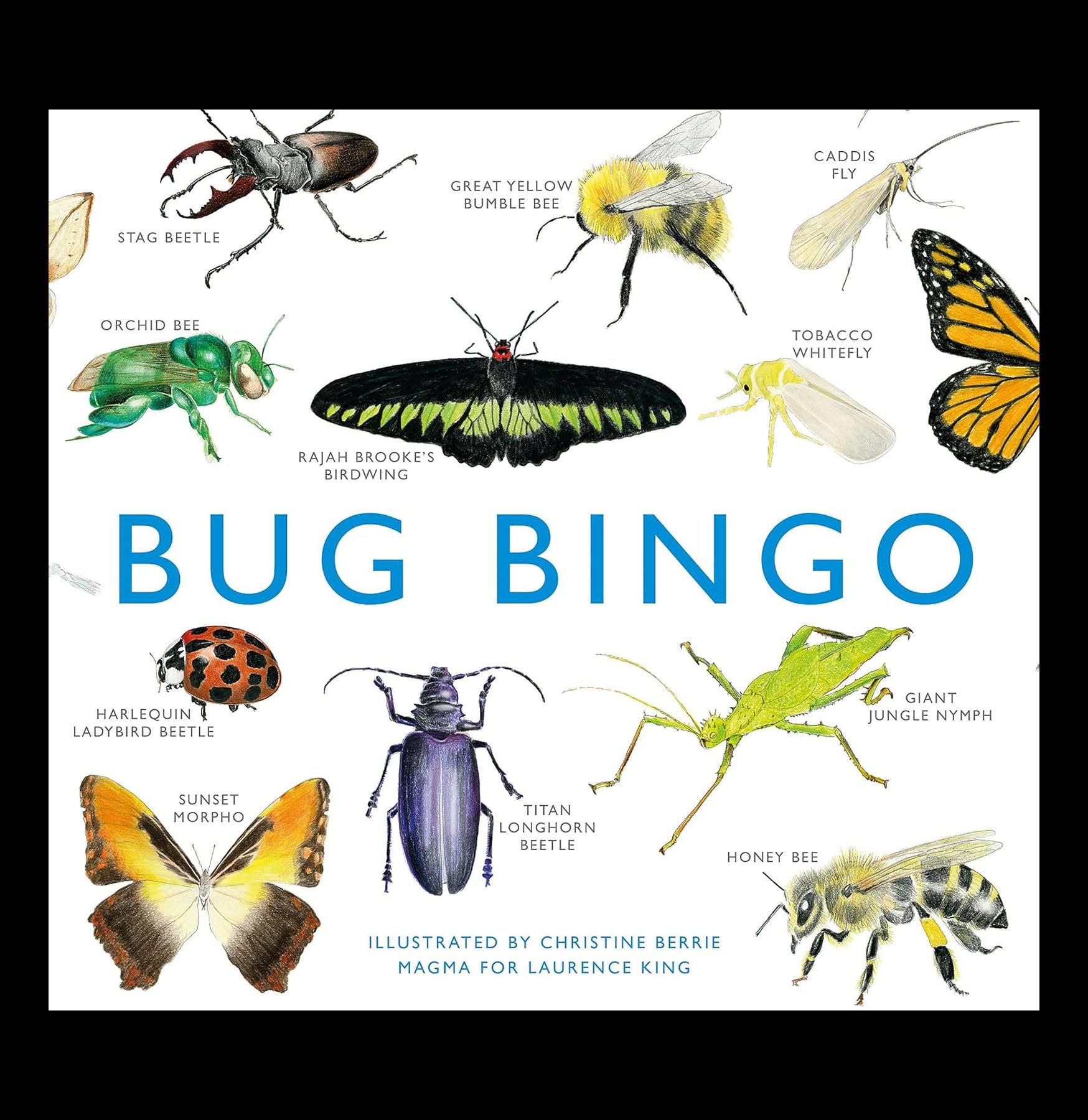 Bug Bingo Game - Fun and Educational Insect Identification Activity for Kids, Families, and Outdoor Enthusiasts | Perfect for Backyard Exploration, Camping Trips, and Nature Learning