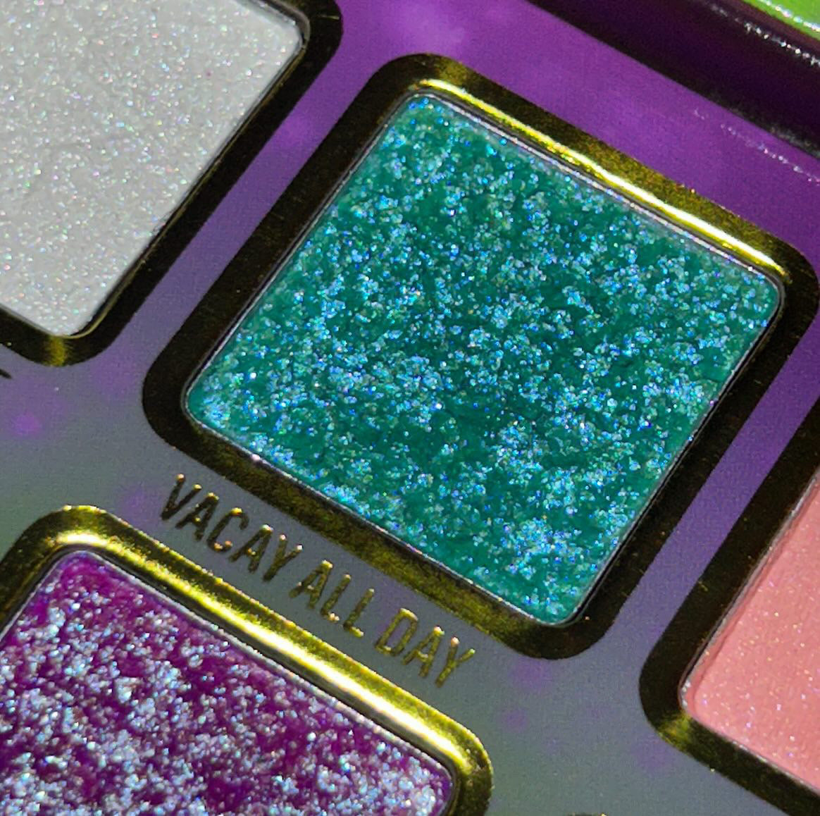 Nueva Vida x Steff's Beauty Stash Eyeshadow Palette - 18 Highly Pigmented Matte & Shimmer Eyeshadows for Professional Makeup | Perfect for Day to Night Looks, Bridal Makeup & Special Occasions